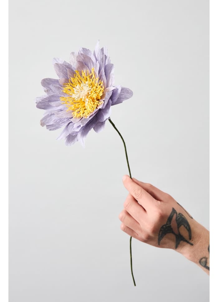 Vasenglück Papierblumen Papierblume | Cottage Rose | Lila