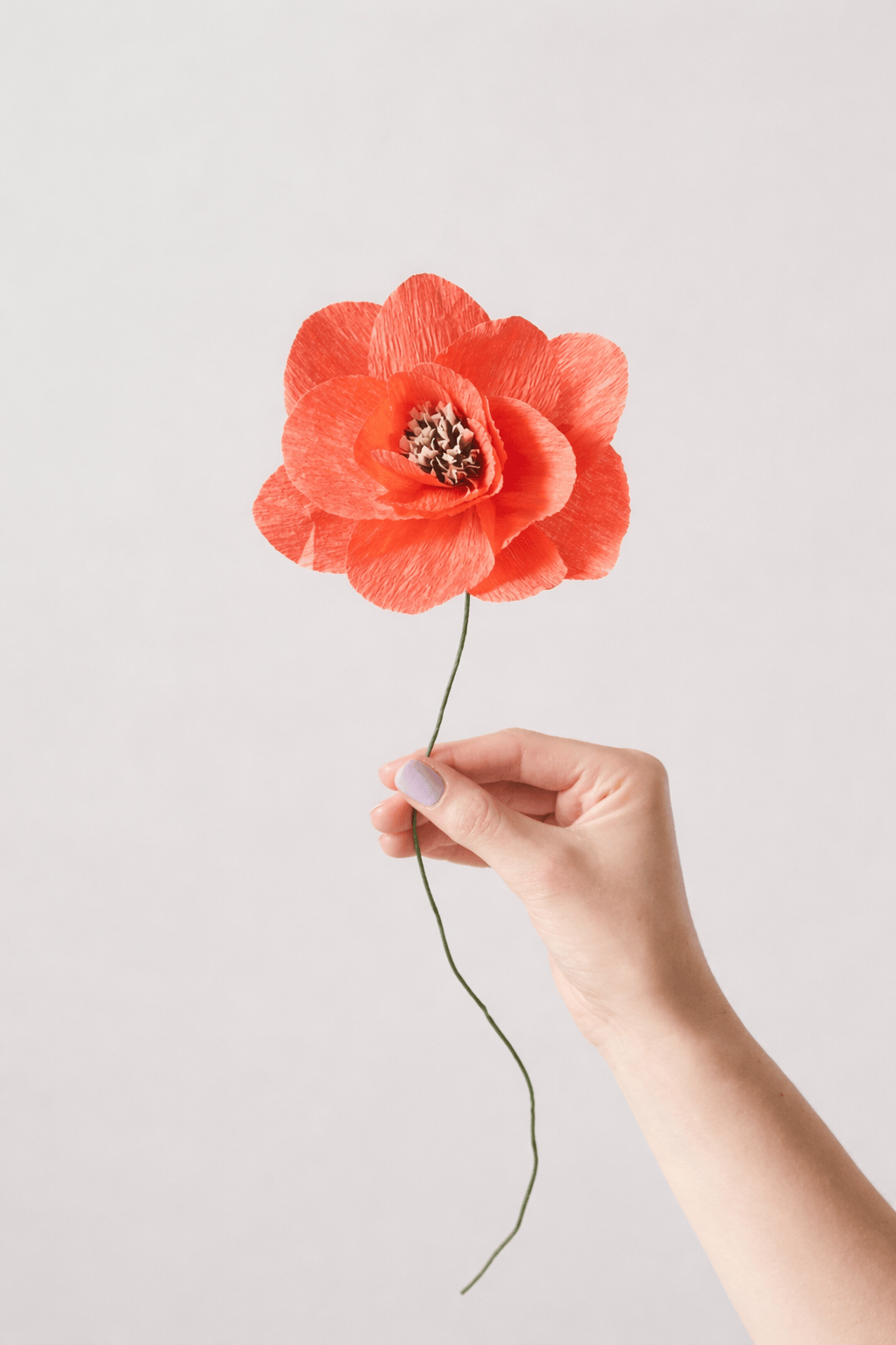 Papierblumen aus Krepp - Mohnblume Rot