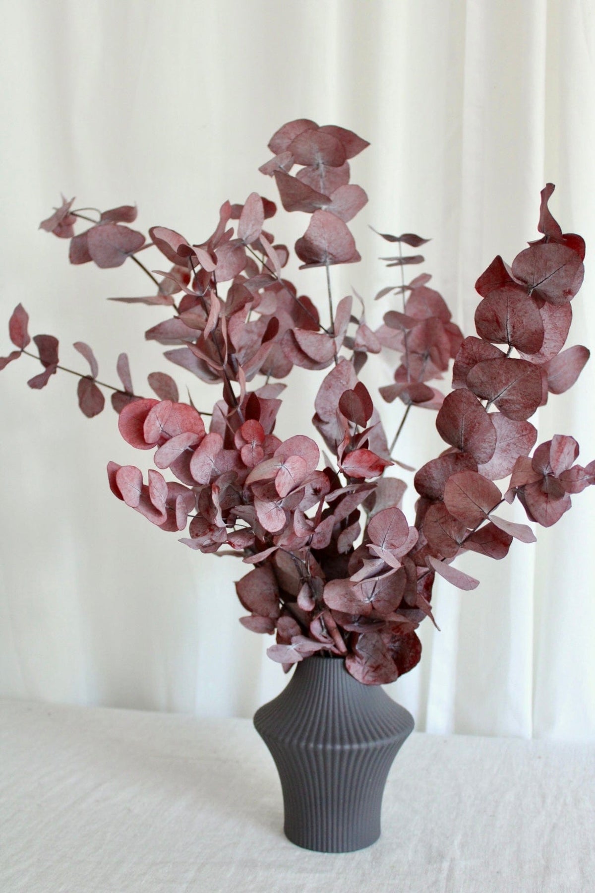 Vasenglück Trockenblumen Eukalyptus Cinerea konserviert | 1 Bund | Dunkelrot