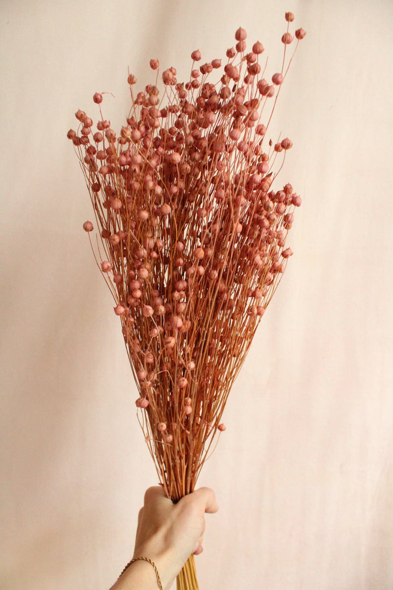 Vasenglück Trockenblumen Flachs | Rosa