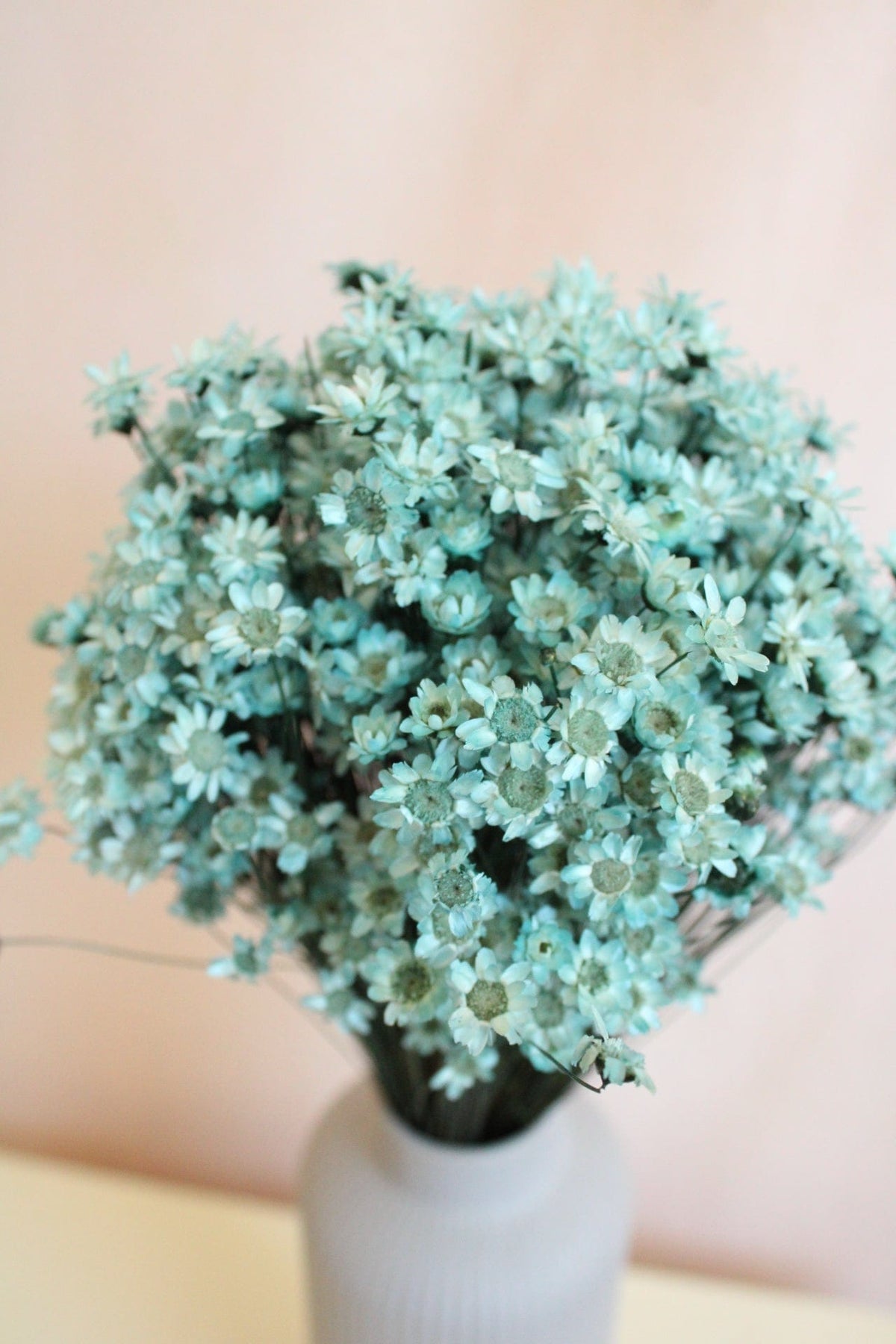 Vasenglück Trockenblumen Glixia | Hellblau