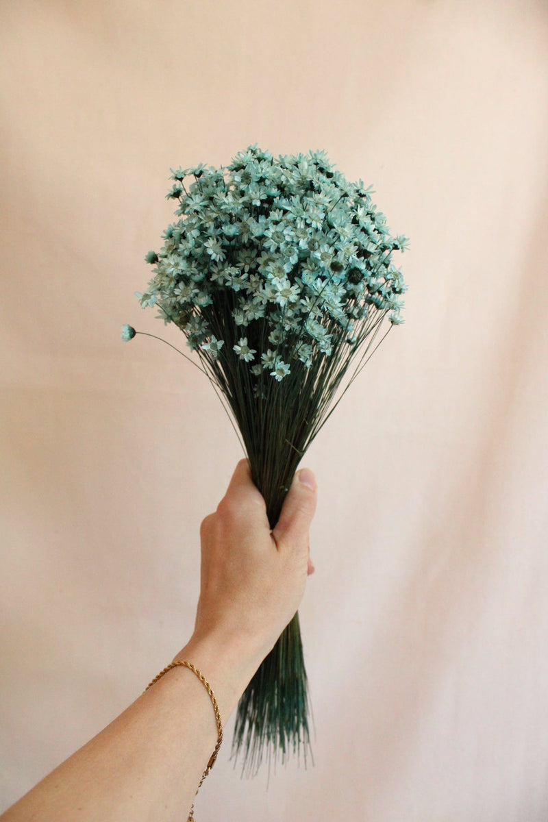 Vasenglück Trockenblumen Glixia | Hellblau