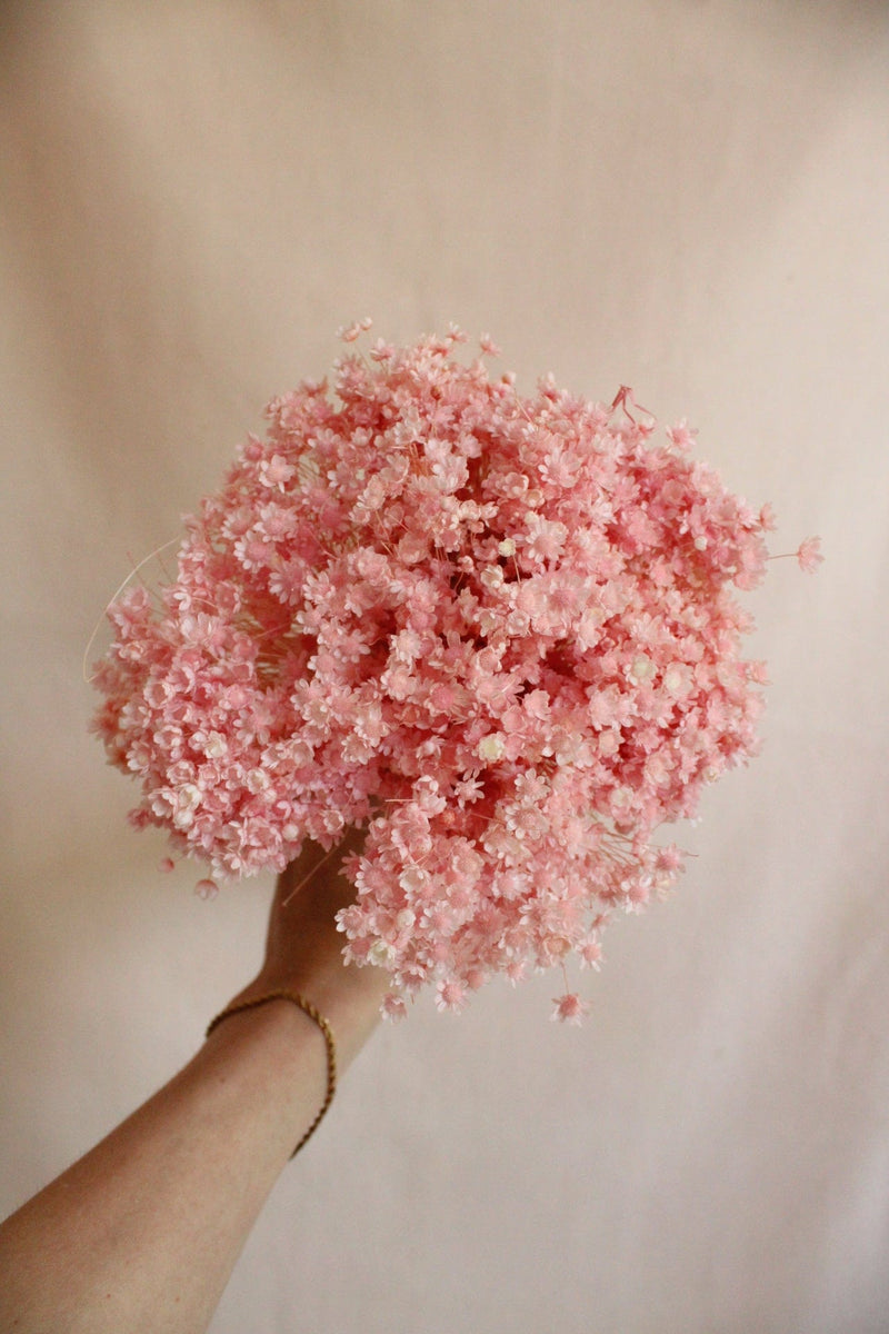 Vasenglück Trockenblumen Glixia | Hellrosa