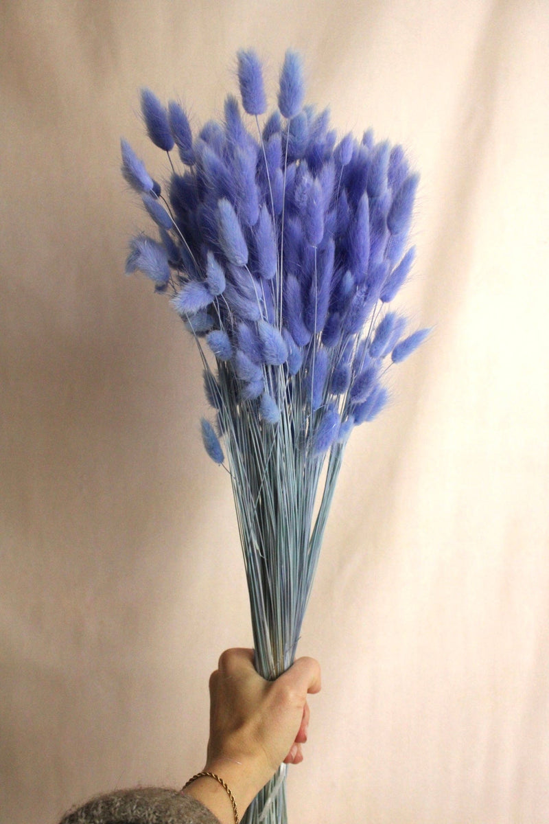 Vasenglück Trockenblumen Großes Bund (ca. 100 Stiele) Lagurus | Lila