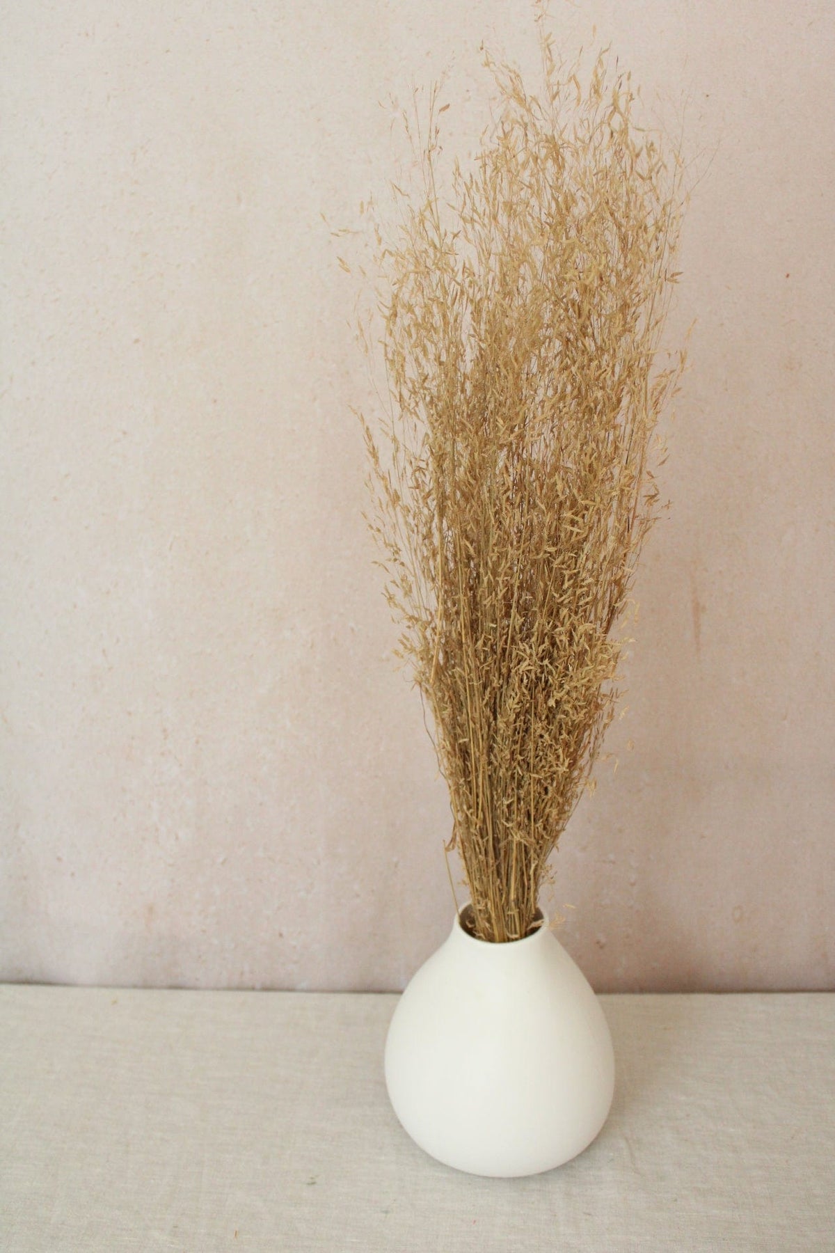 Vasenglück Trockenblumen Munni Gras | Natur