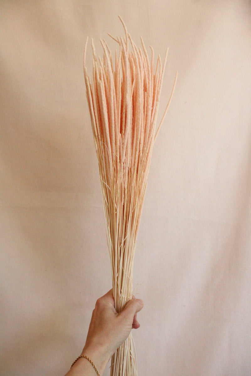 Vasenglück Trockenblumen Phleum | Zartrosa