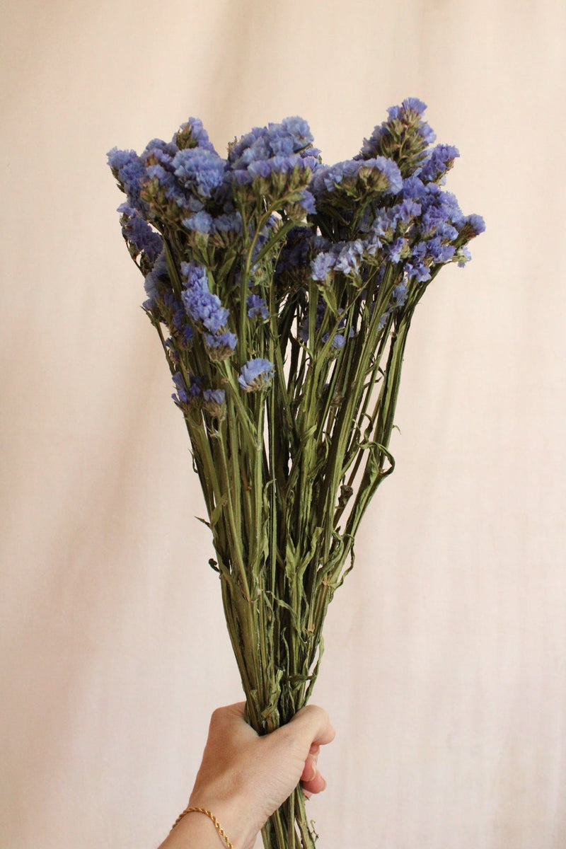 Vasenglück Trockenblumen Statice | Blau