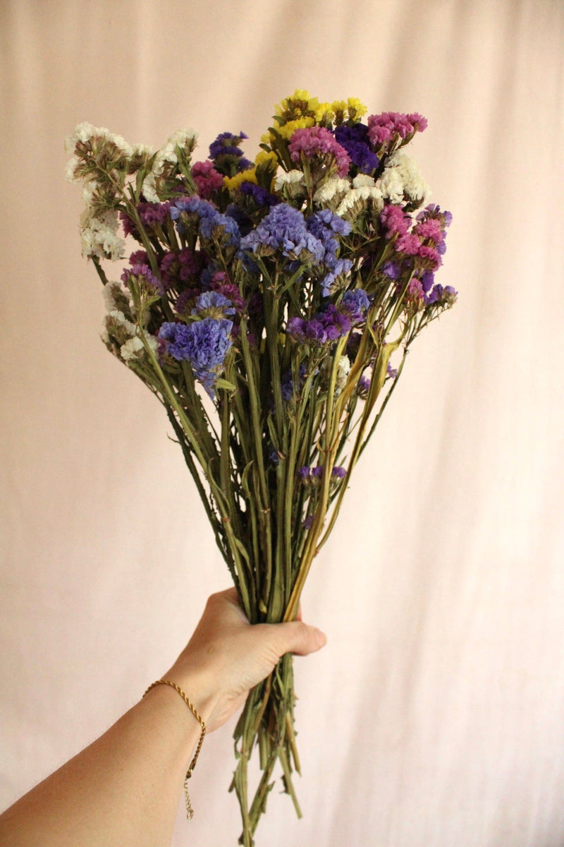 Vasenglück Trockenblumen Statice | Bunt