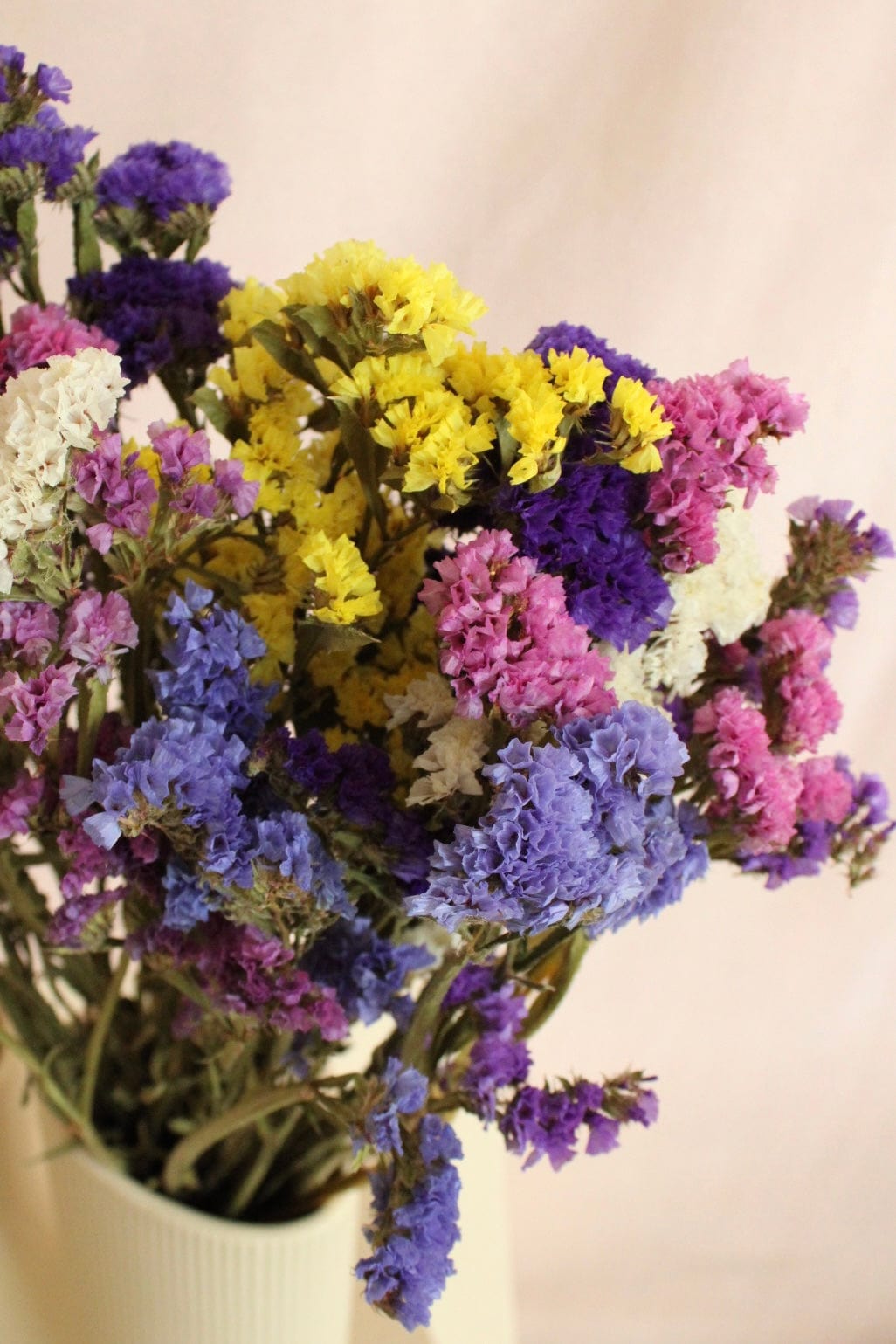 Vasenglück Trockenblumen Statice | Bunt