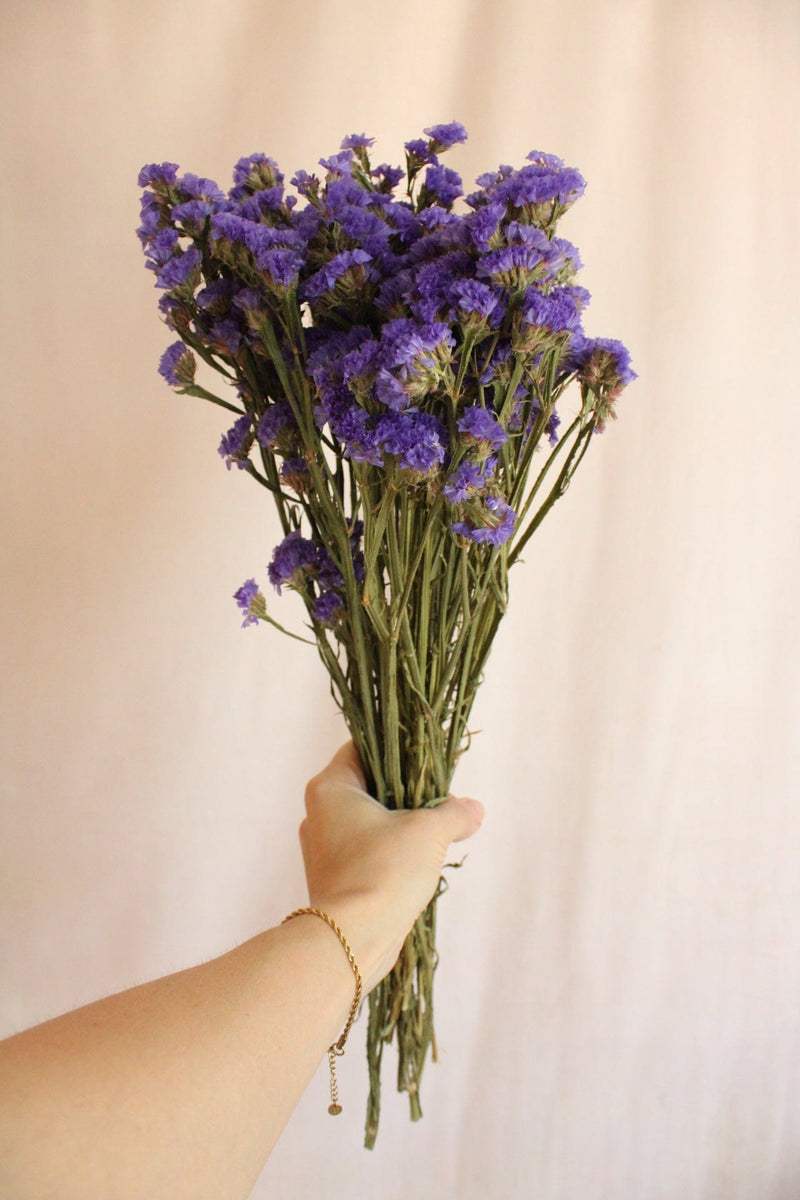 Vasenglück Trockenblumen Statice | Lila