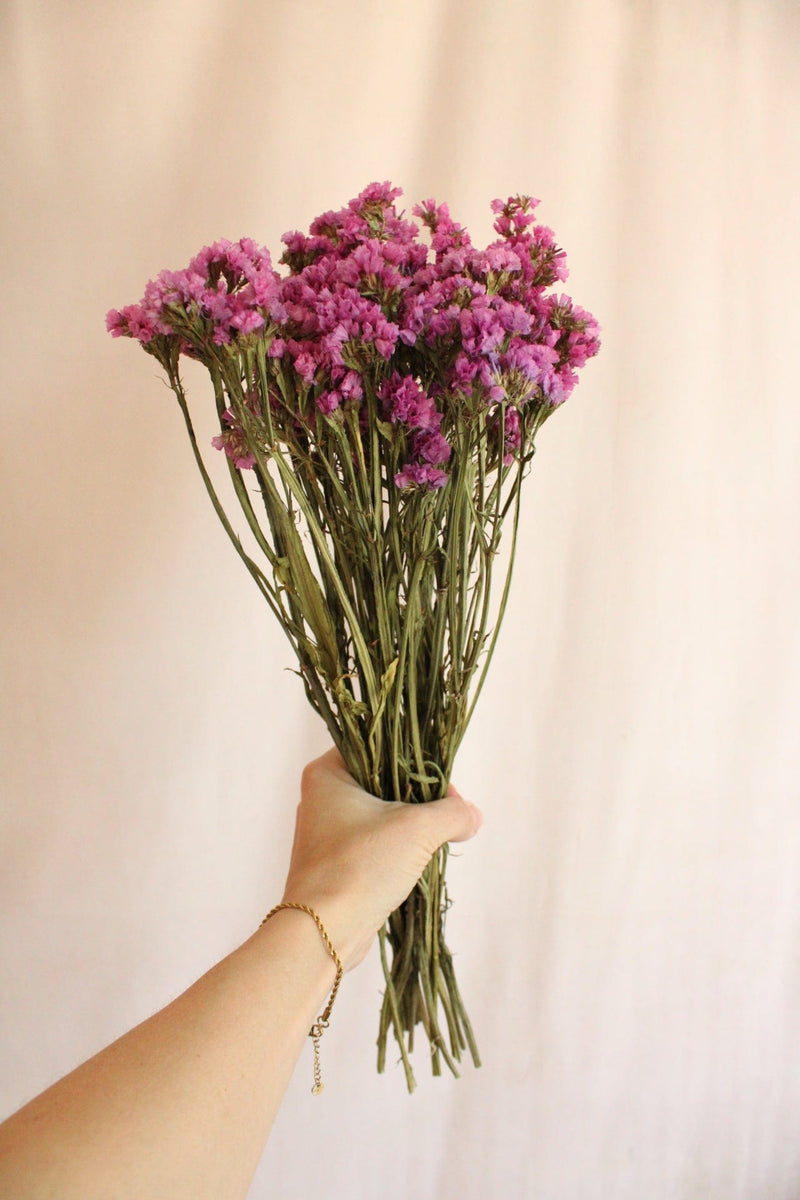 Vasenglück Trockenblumen Statice | Pink