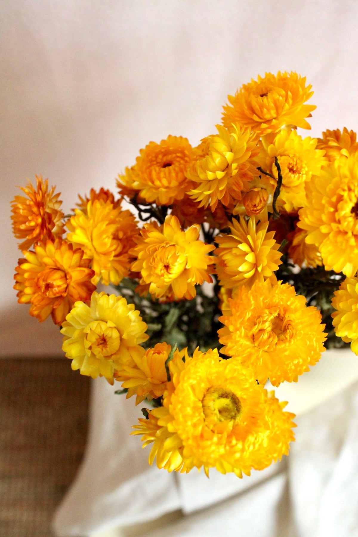 Vasenglück Trockenblumen Strohblumen | Gelb