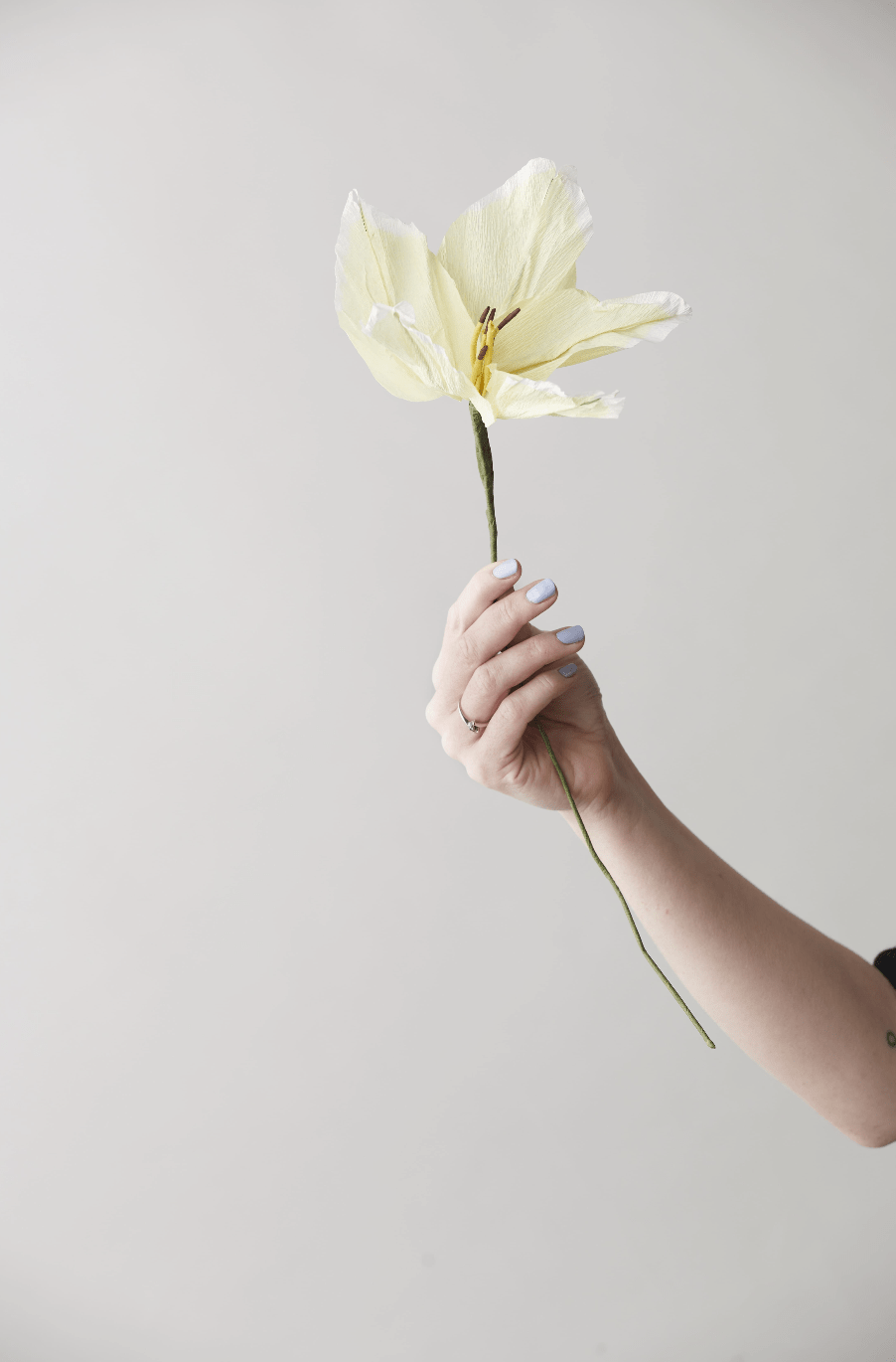 Krepp-Papierblume Lilie - Gelb