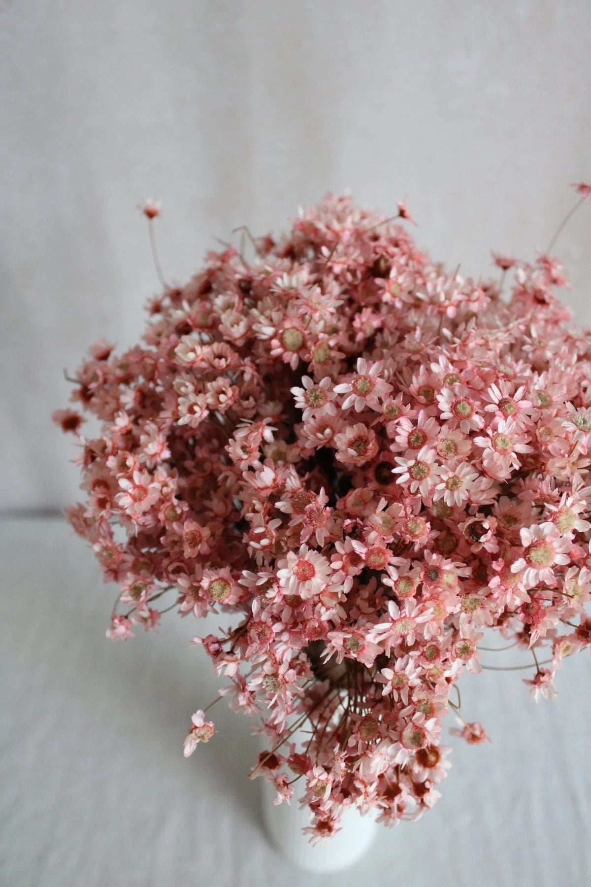 Trockenblumen in Rosa & Pink
