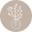 Trockenblumen und Pampasgras kaufen logo