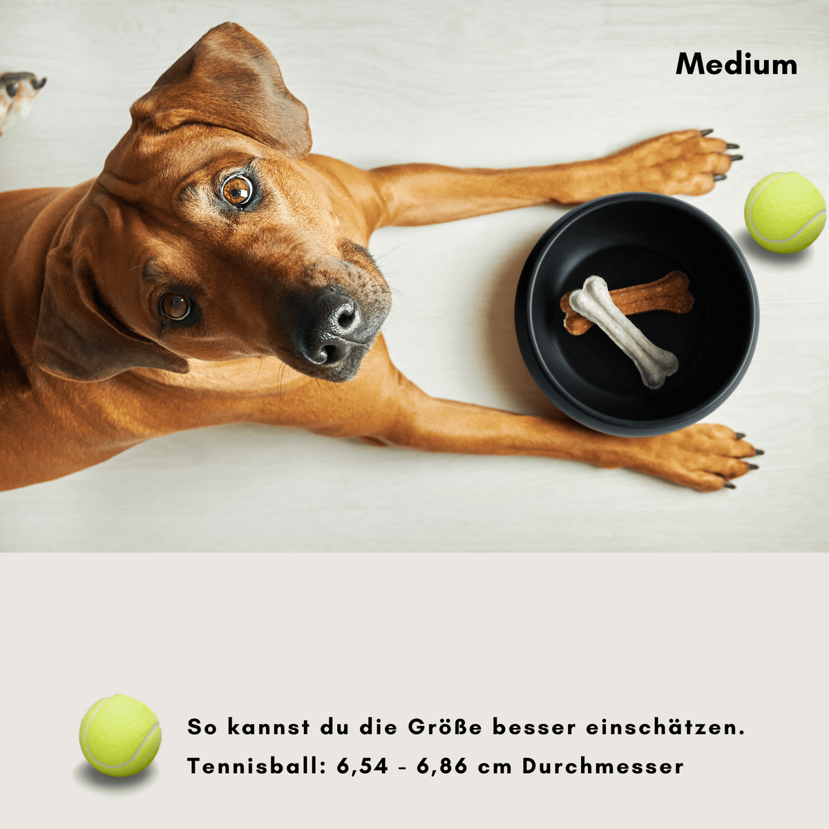 hej.mo Napf / Schale Hundenapf MOLLY aus Keramik | Schwarz | Medium 1,8 Liter