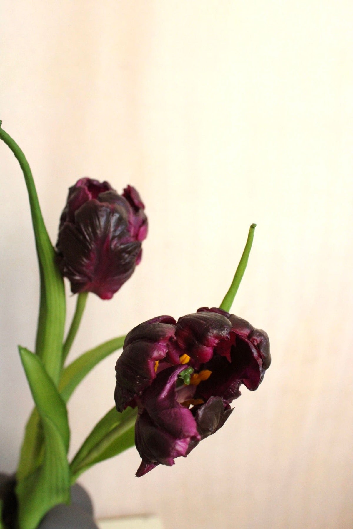 Vasenglück Seidenblume Kunstblume Kleine Papageien Tulpe | Aubergine