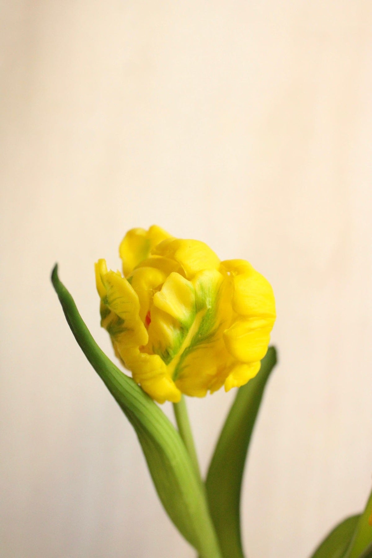 Vasenglück Seidenblume Kunstblume Kleine Papageien Tulpe | Gelb