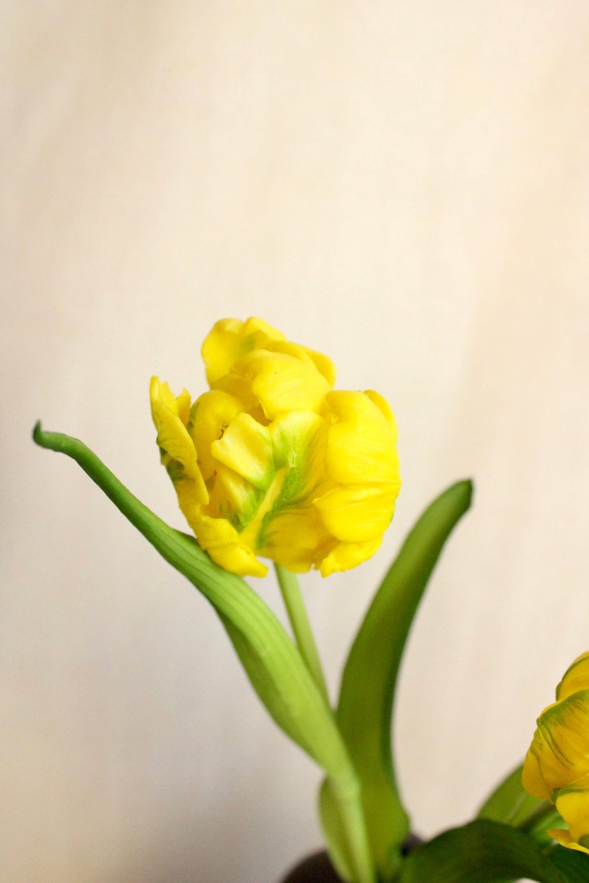Vasenglück Seidenblume Kunstblume Kleine Papageien Tulpe | Gelb