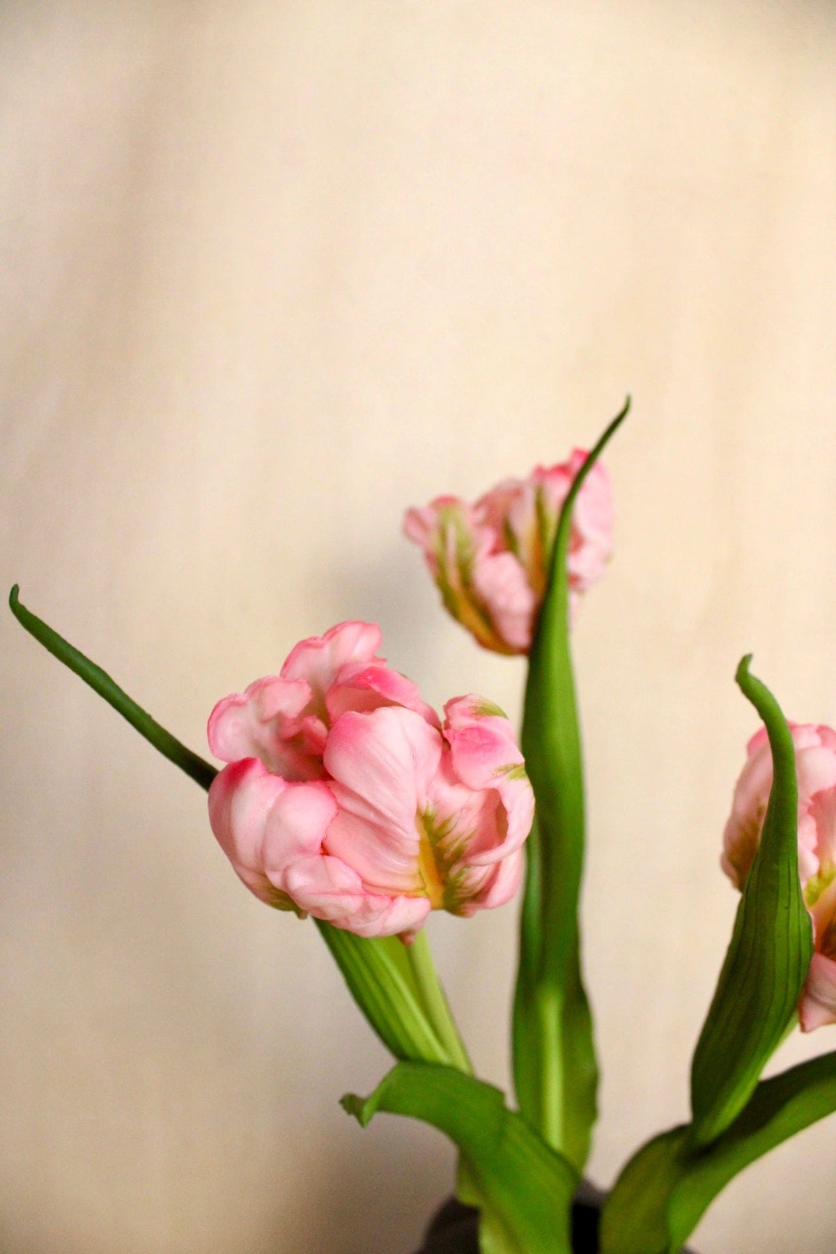 Vasenglück Seidenblume Kunstblume Kleine Papageien Tulpe | Rosa