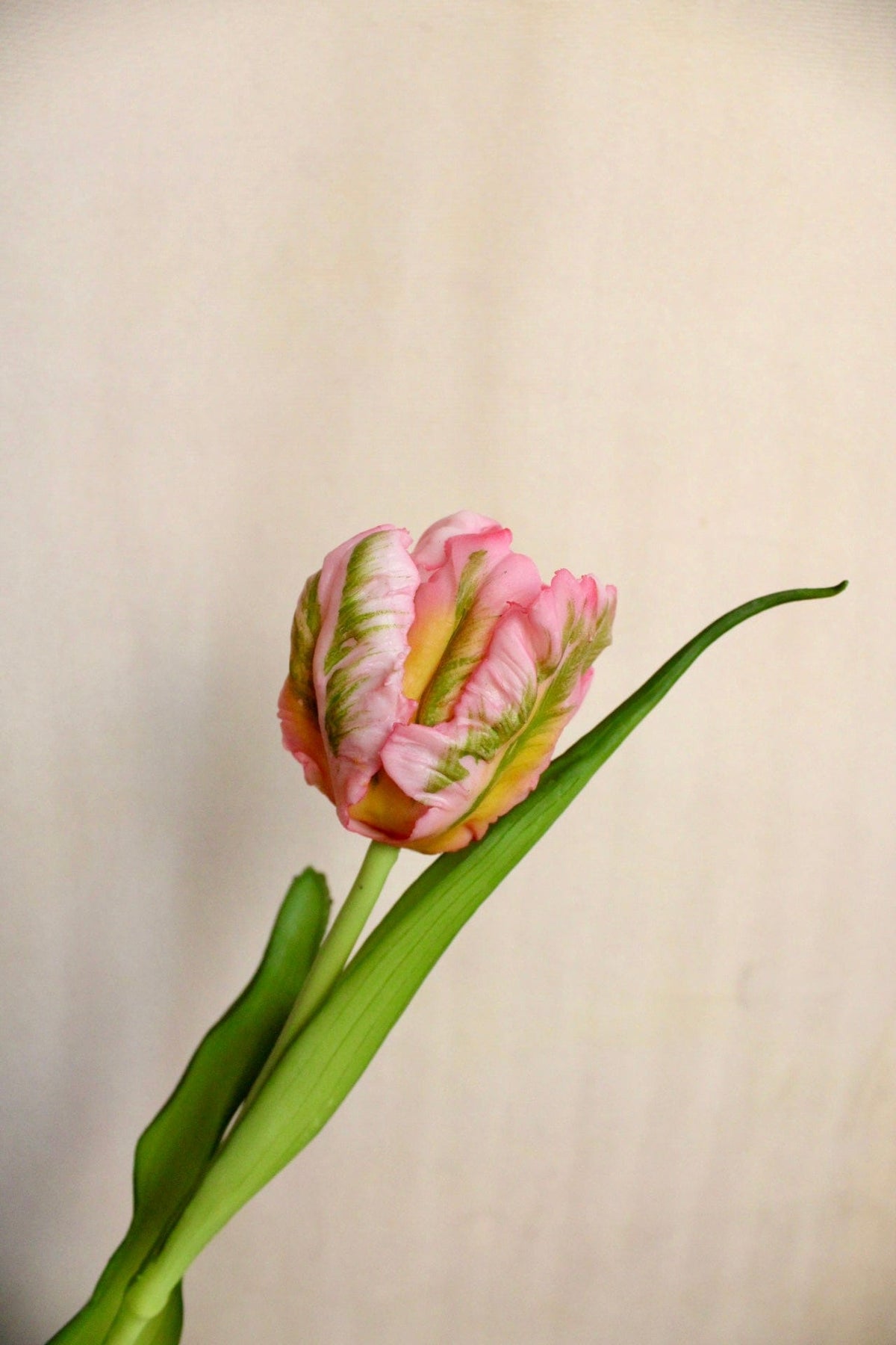 Vasenglück Seidenblume Kunstblume Kleine Papageien Tulpe | Rosa