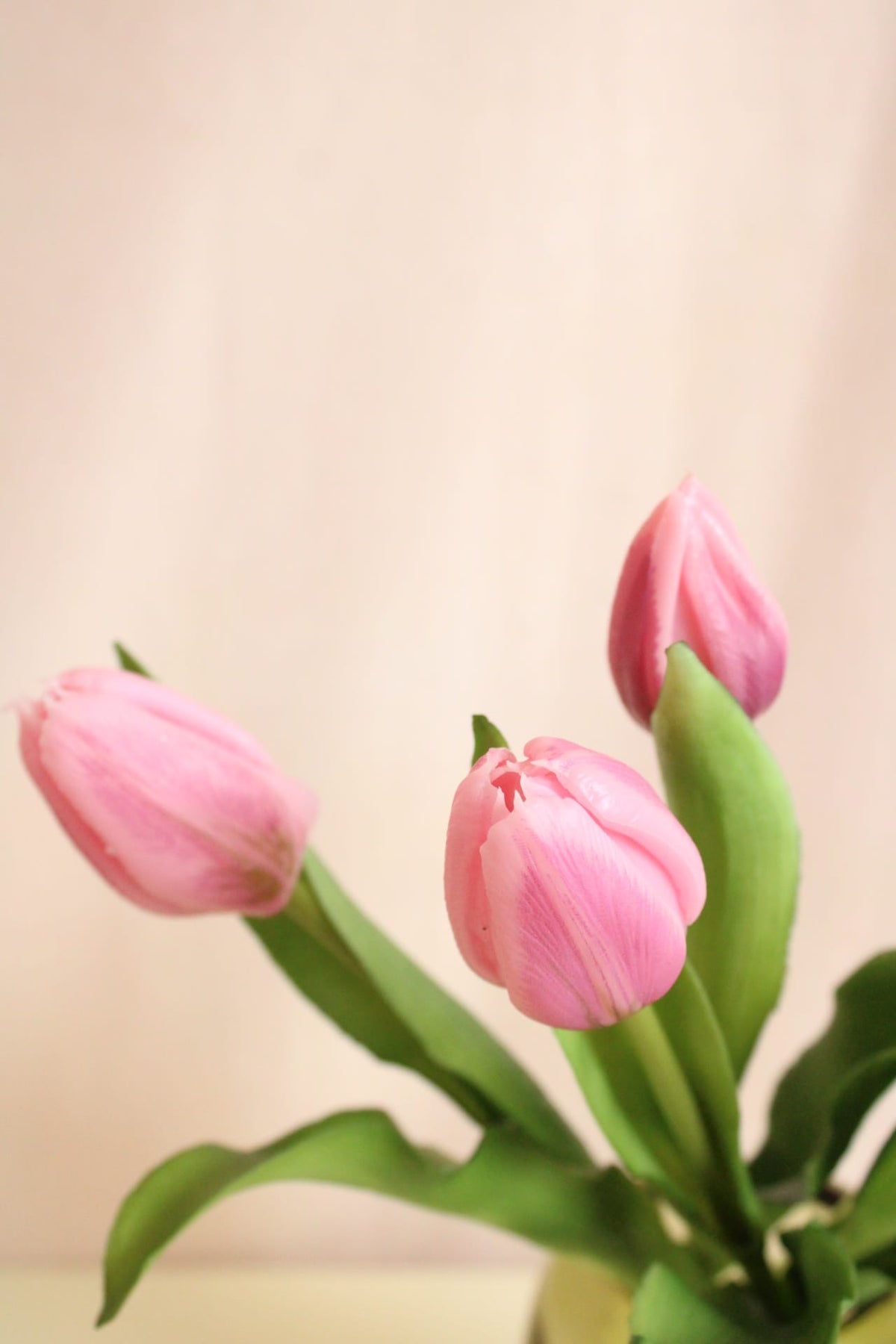 Vasenglück Seidenblume Kunstblume Kleine Tulpe | Rosa/Violett