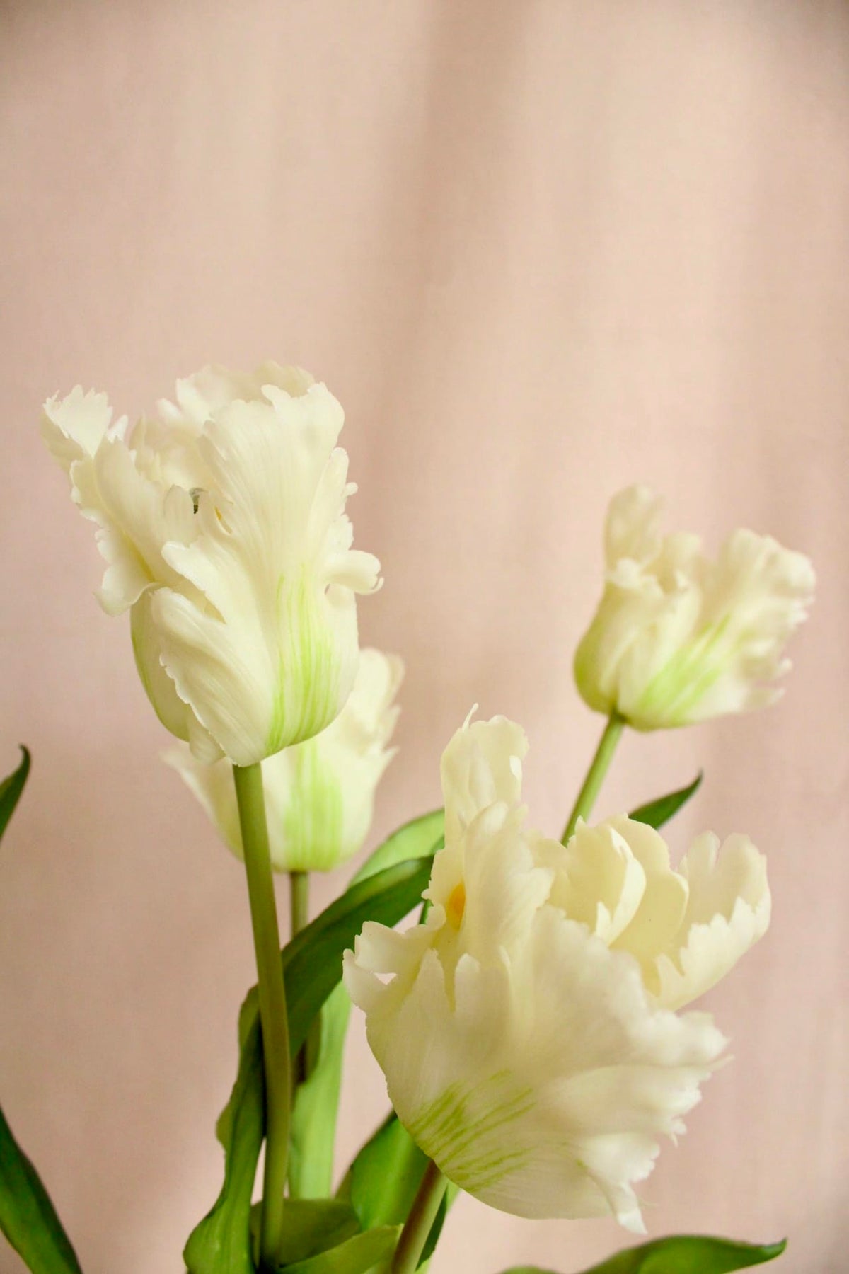 Vasenglück Seidenblume Kunstblume Papageien Tulpe | Cremeweiss