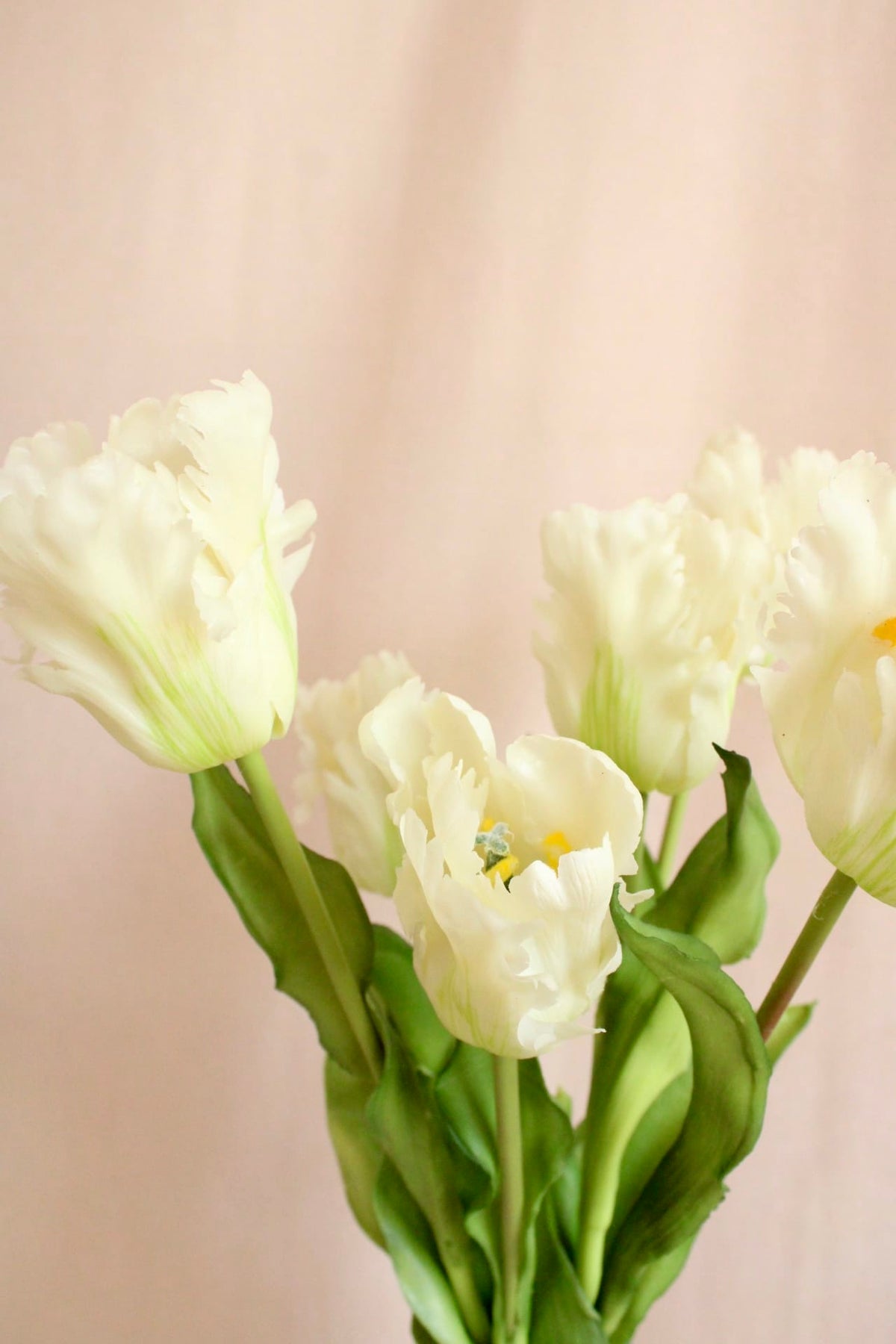 Vasenglück Seidenblume Kunstblume Papageien Tulpe | Cremeweiss