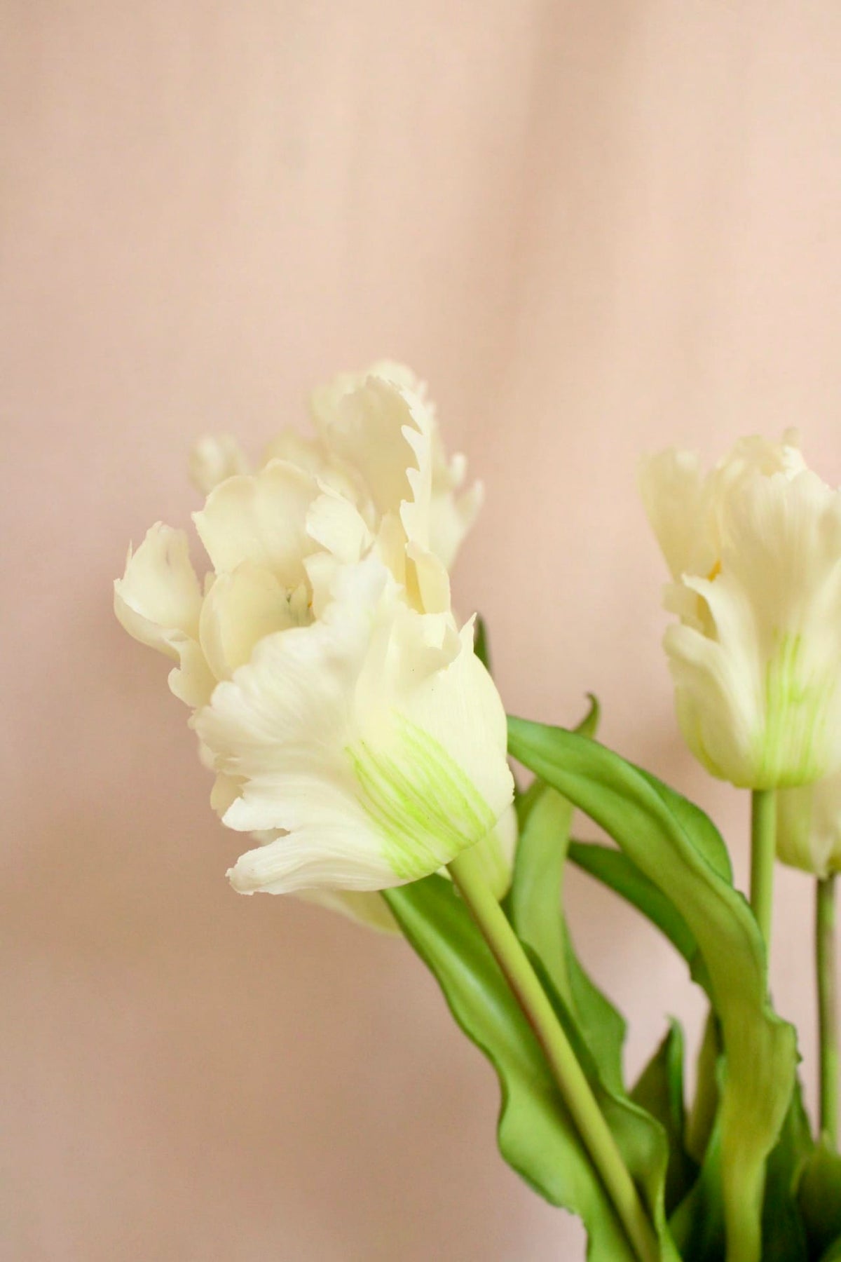 Vasenglück Seidenblume Kunstblume Papageien Tulpe | Cremeweiss