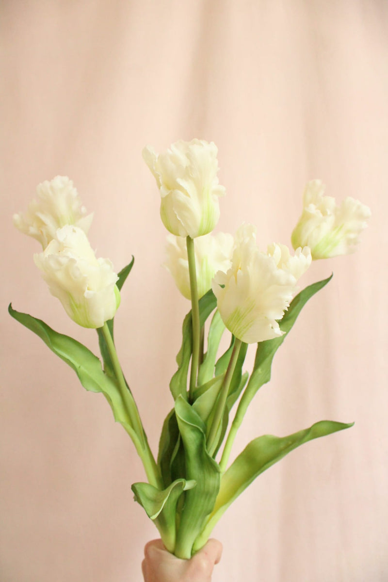 Vasenglück Seidenblume 6 Stück Kunstblume Papageien Tulpe | Cremeweiss