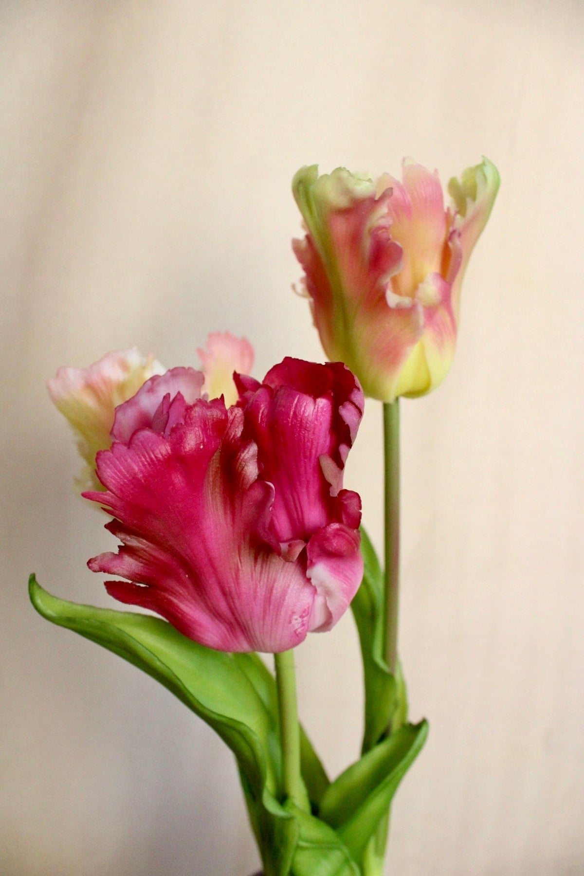 Vasenglück Seidenblume Kunstblume Papageien Tulpe | Pink Rosé Mix