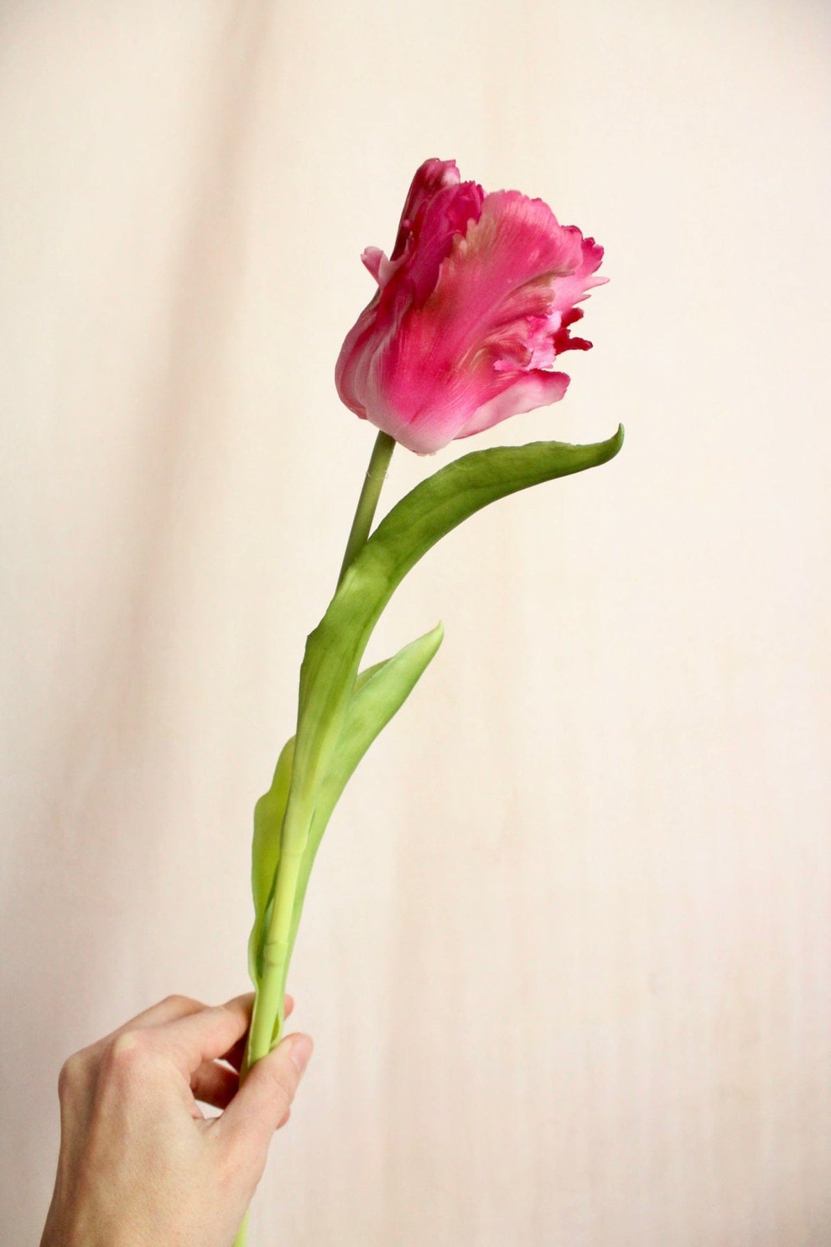 Vasenglück Seidenblume Kunstblume Papageien Tulpe | Pink Rosé Mix