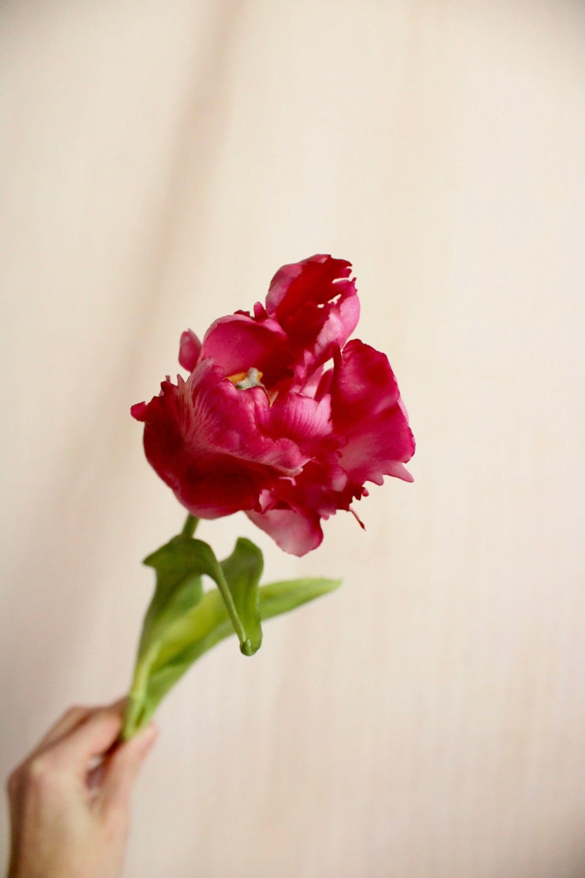 Vasenglück Seidenblume Kunstblume Papageien Tulpe | Pink Rosé Mix