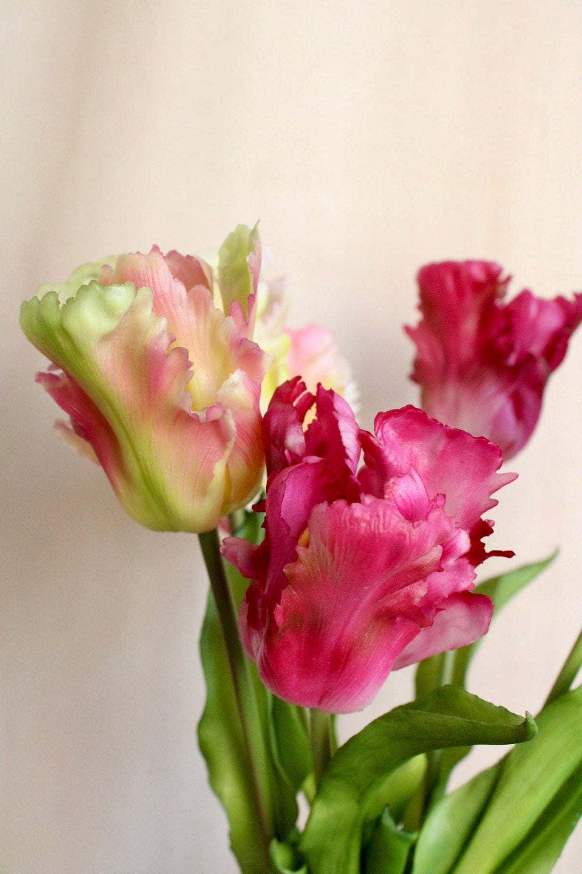 Vasenglück Seidenblume Kunstblume Papageien Tulpe | Pink Rosé Mix