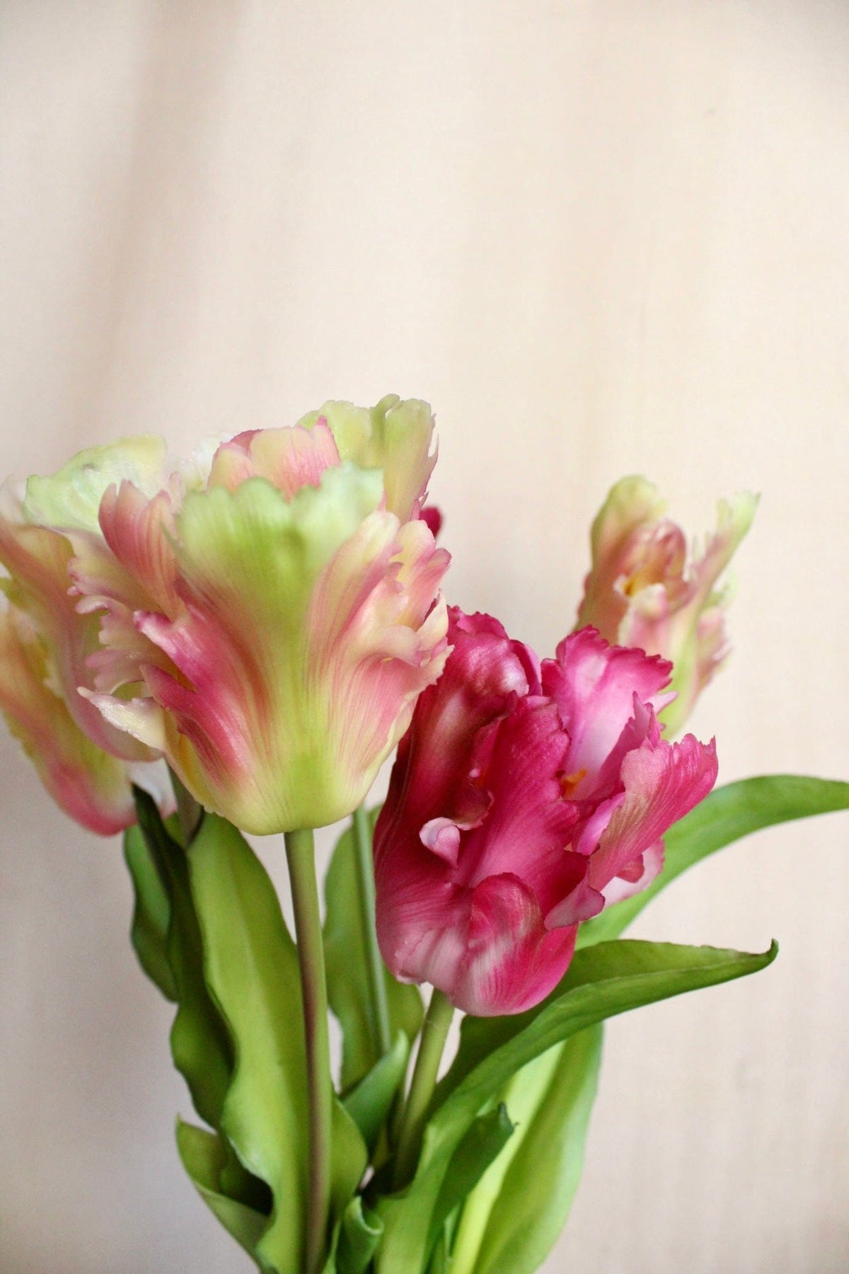 Vasenglück Seidenblume Kunstblume Papageien Tulpe | Pink Rosé Mix