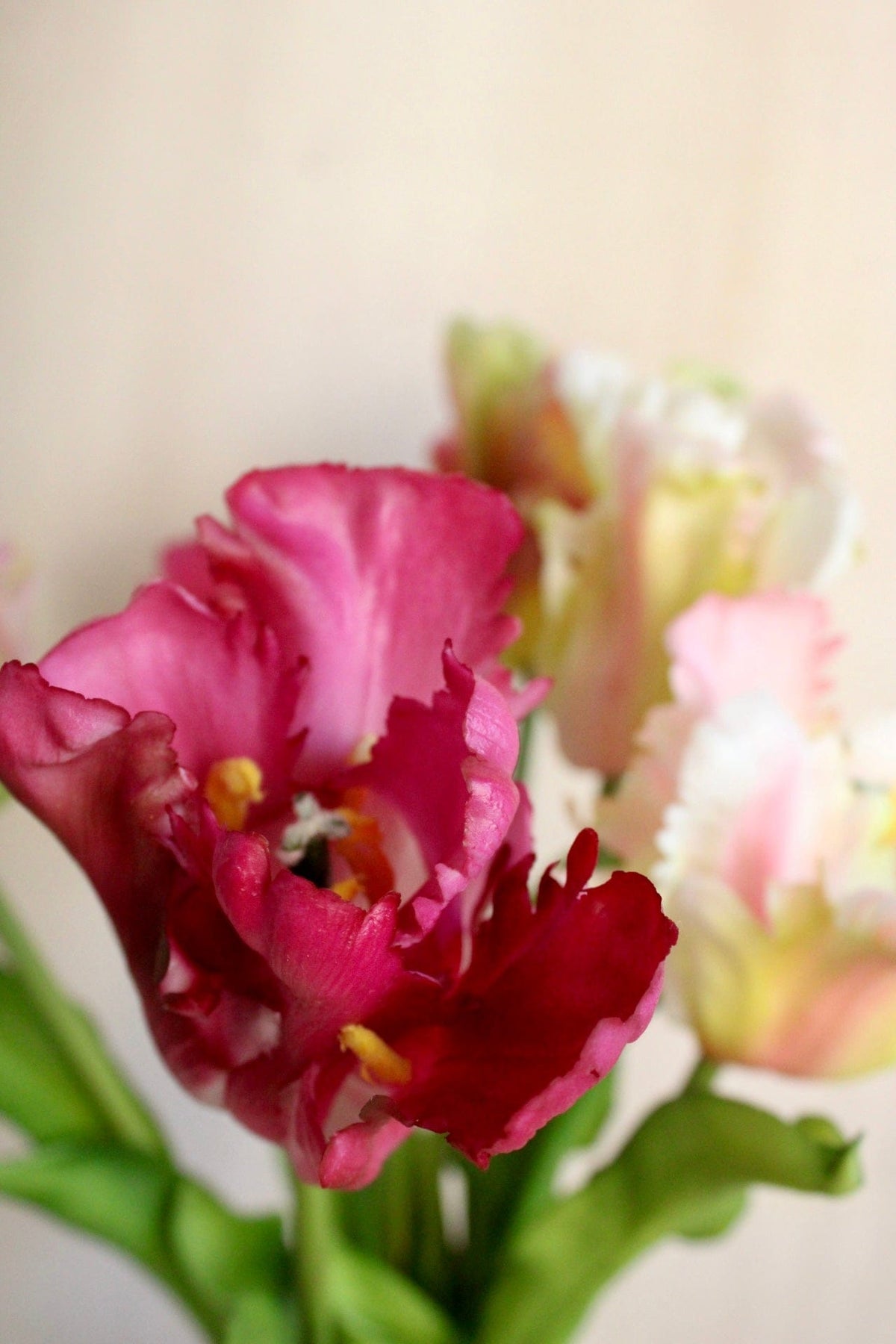 Vasenglück Seidenblume Kunstblume Papageien Tulpe | Pink Rosé Mix