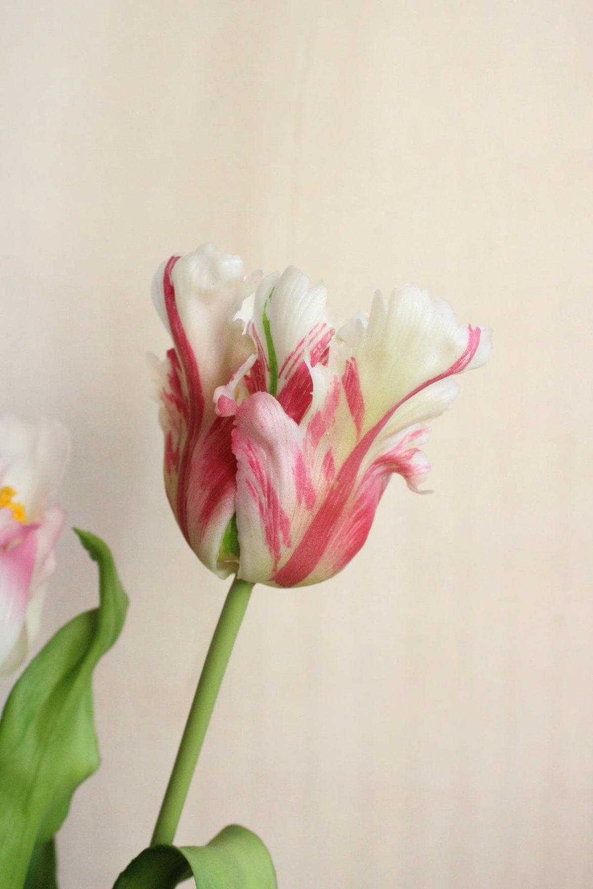 Vasenglück Seidenblume Kunstblume Papageien Tulpe | Rosé Mix