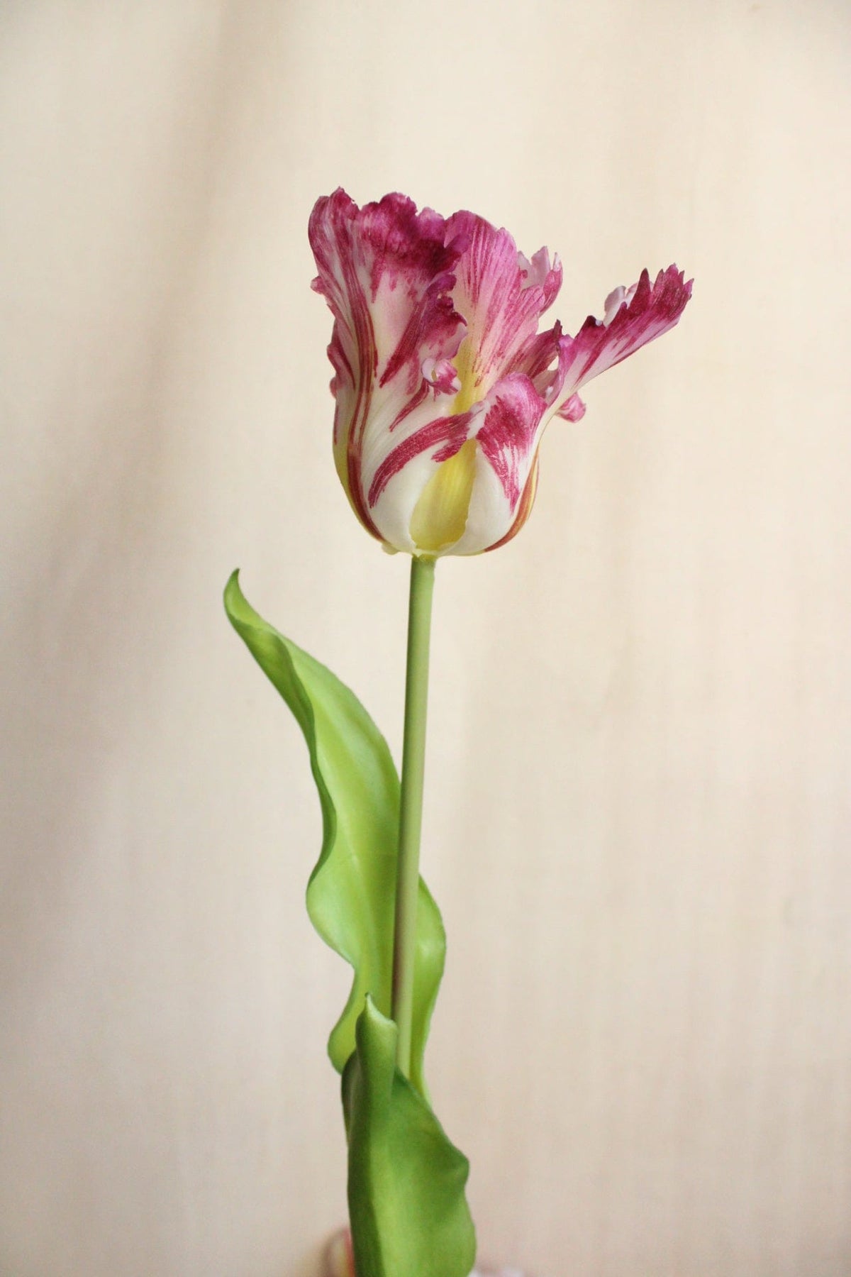 Vasenglück Seidenblume Kunstblume Papageien Tulpe | Rosé Mix