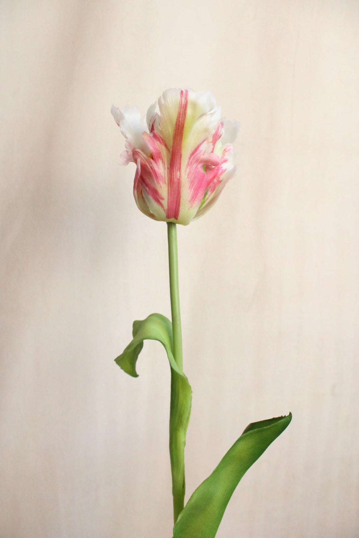 Vasenglück Seidenblume Kunstblume Papageien Tulpe | Rosé Mix