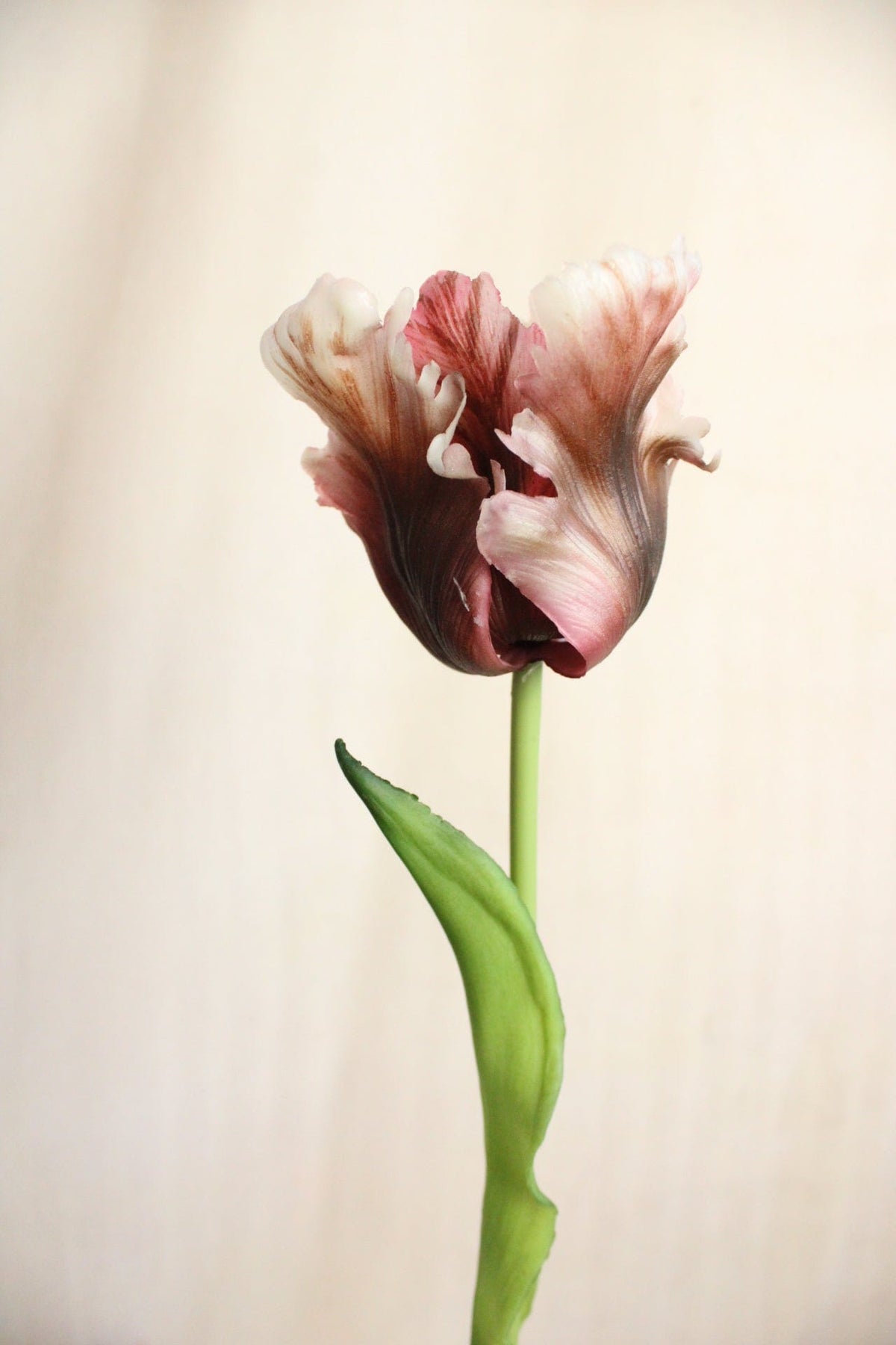 Vasenglück Seidenblume Kunstblume Papageien Tulpe | Weiß Beere Mix