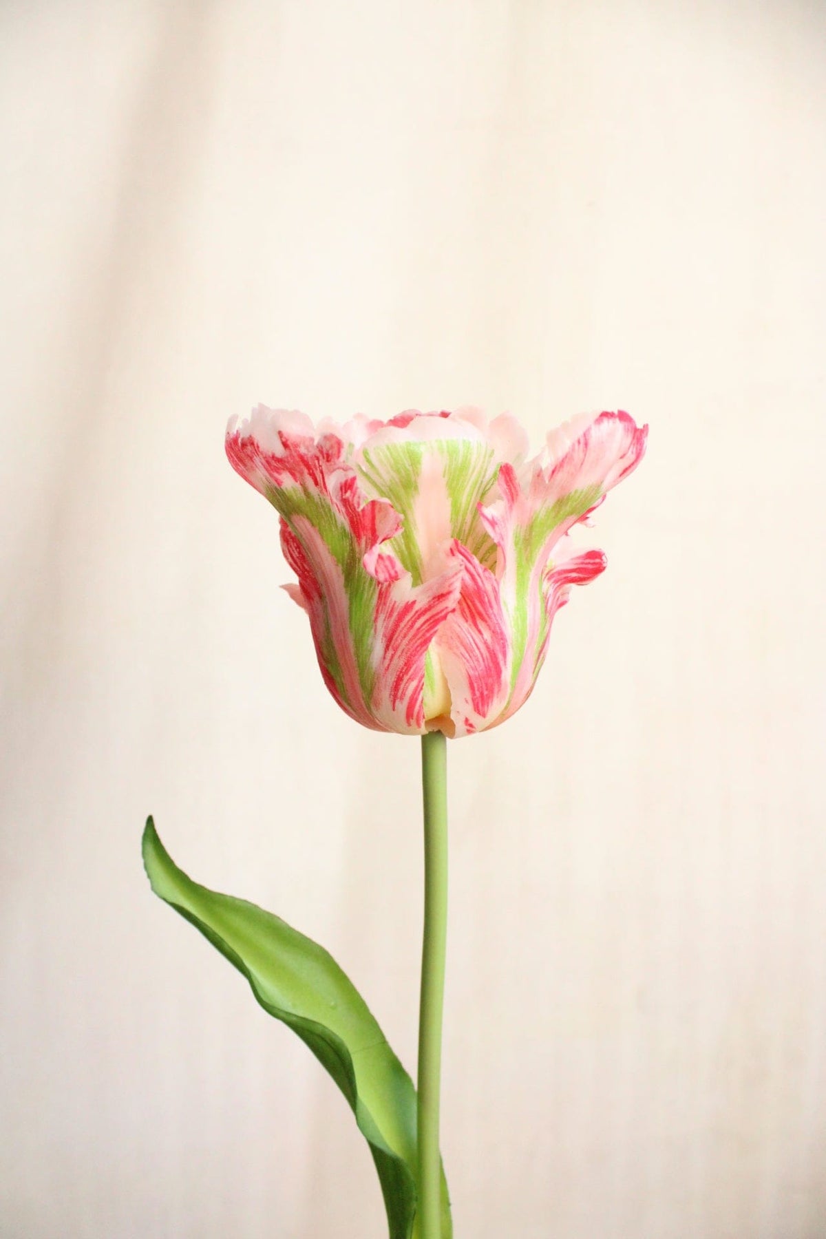 Vasenglück Seidenblume Kunstblume Papageien Tulpe | Weiß Beere Mix