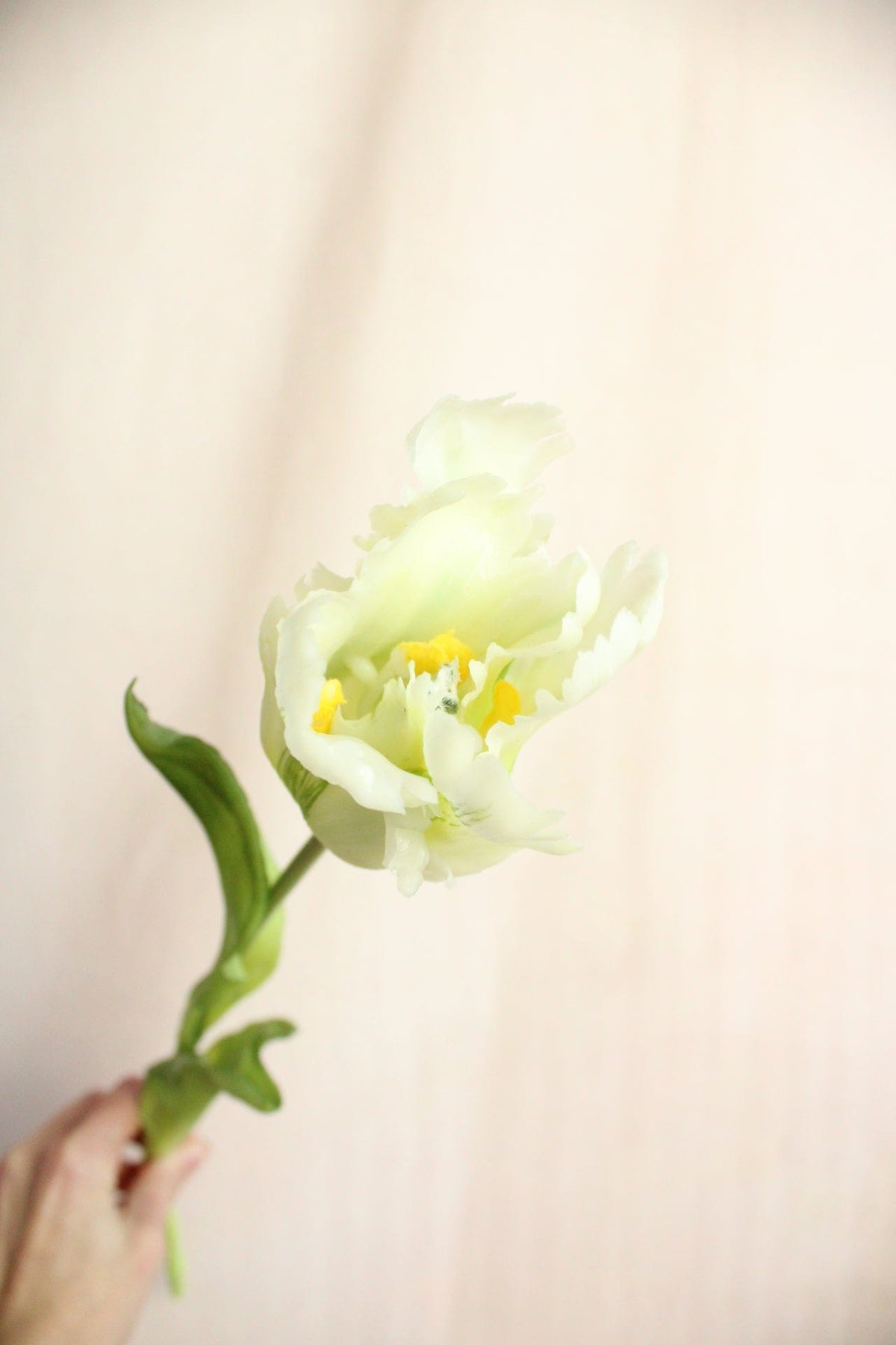 Vasenglück Seidenblume Kunstblume Papageien Tulpe | Weiß Beere Mix