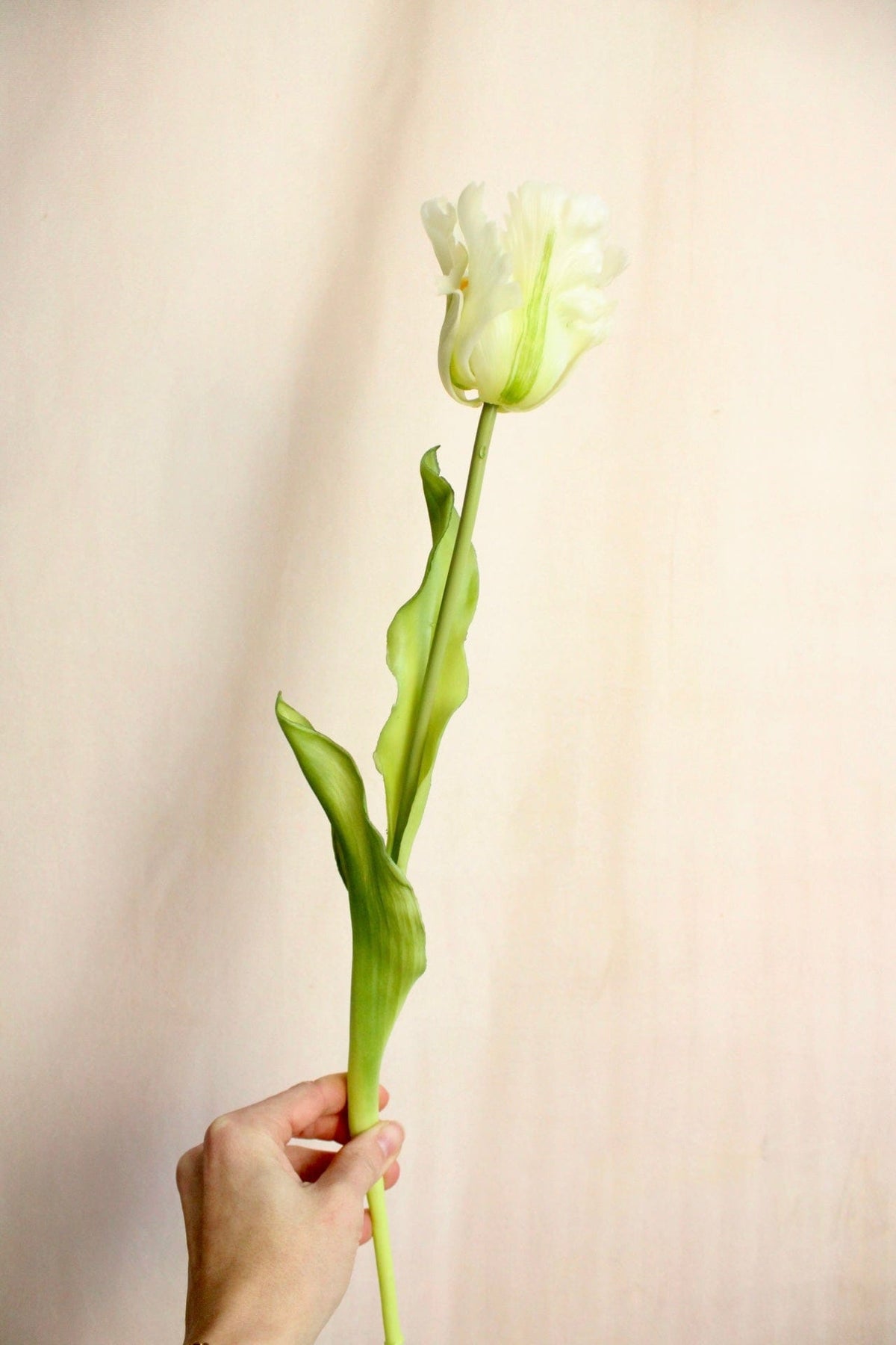 Vasenglück Seidenblume Kunstblume Papageien Tulpe | Weiß Beere Mix