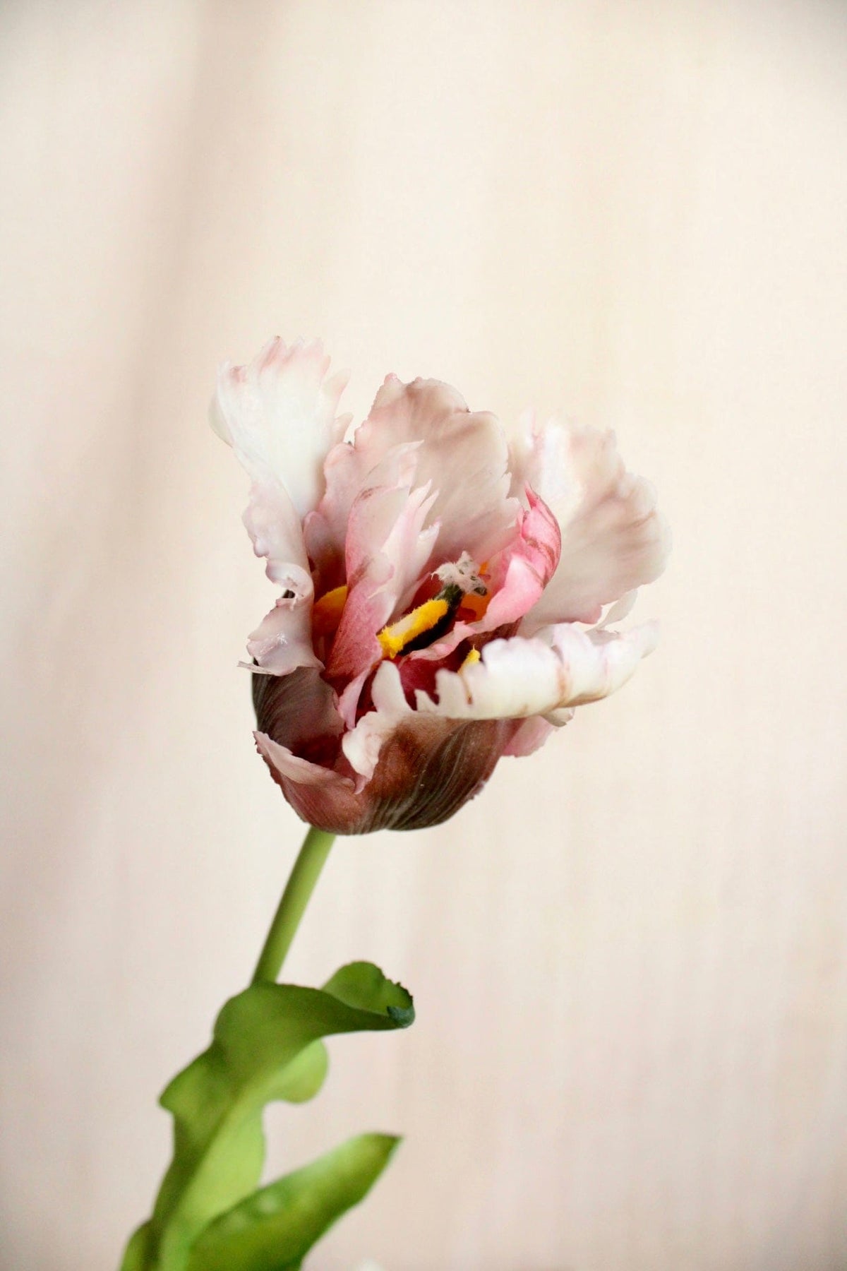 Vasenglück Seidenblume Kunstblume Papageien Tulpe | Weiß Beere Mix