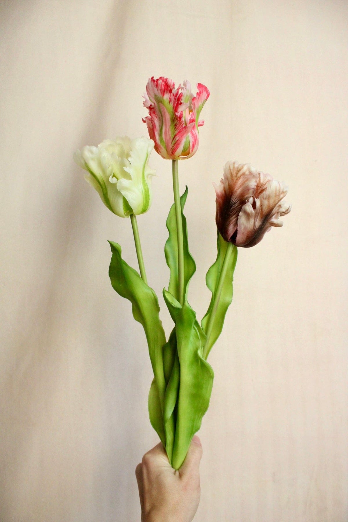 Vasenglück Seidenblume 3 Stück Kunstblume Papageien Tulpe | Weiß Beere Mix