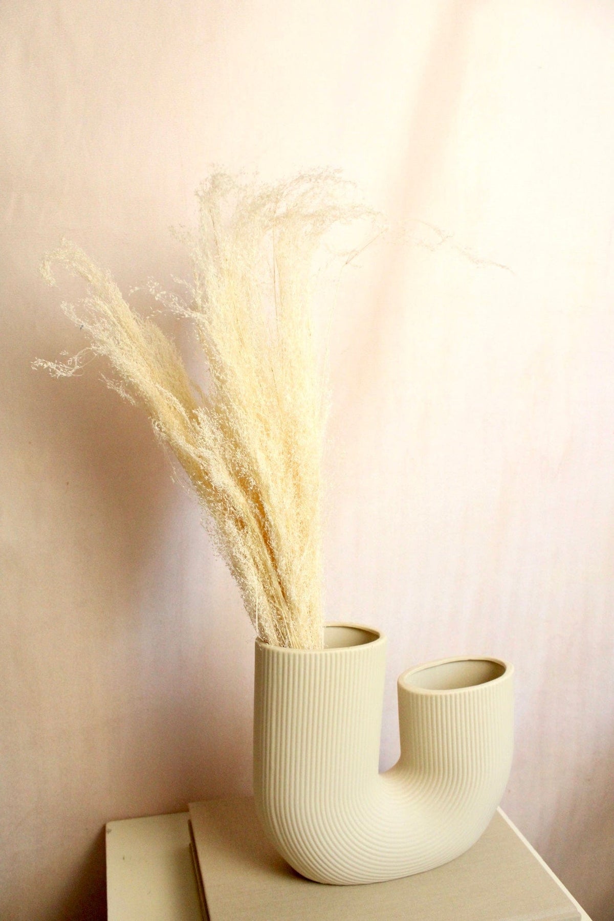 Vasenglück Trockenblumen Agrostis Pulchella | Weiß Creme