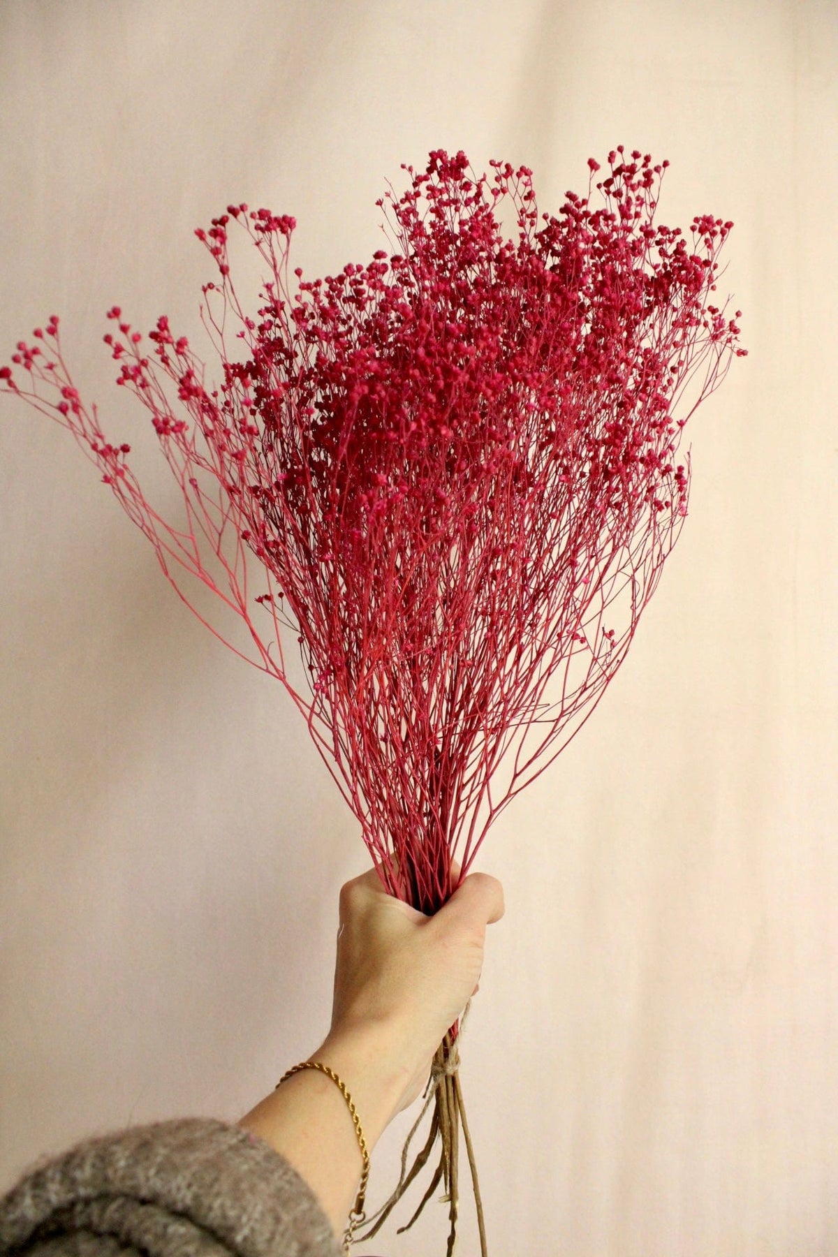 Vasenglück Trockenblumen Broom Bloom | Beerenrot