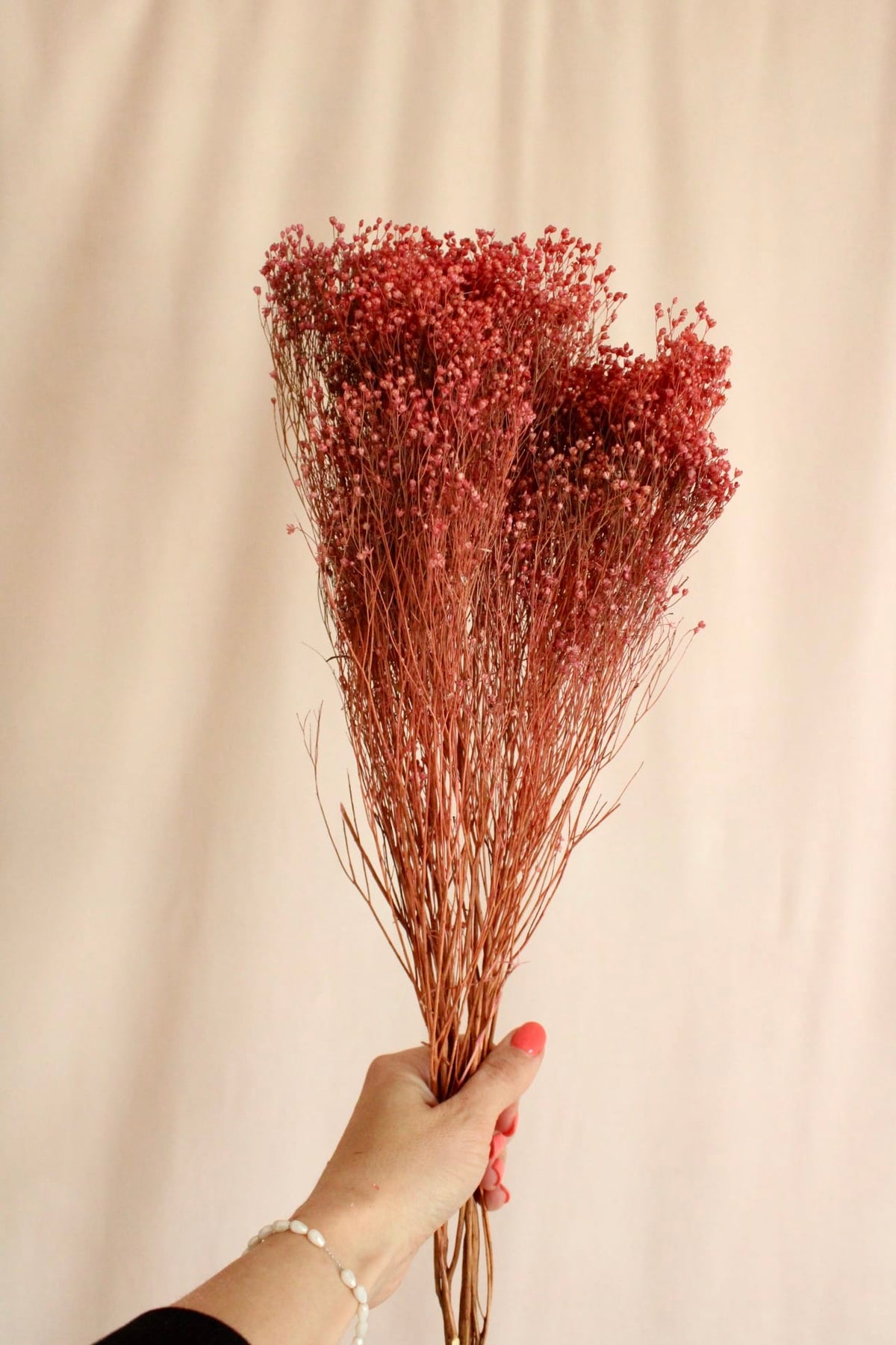 Vasenglück Trockenblumen Broom Bloom | Rotbraun