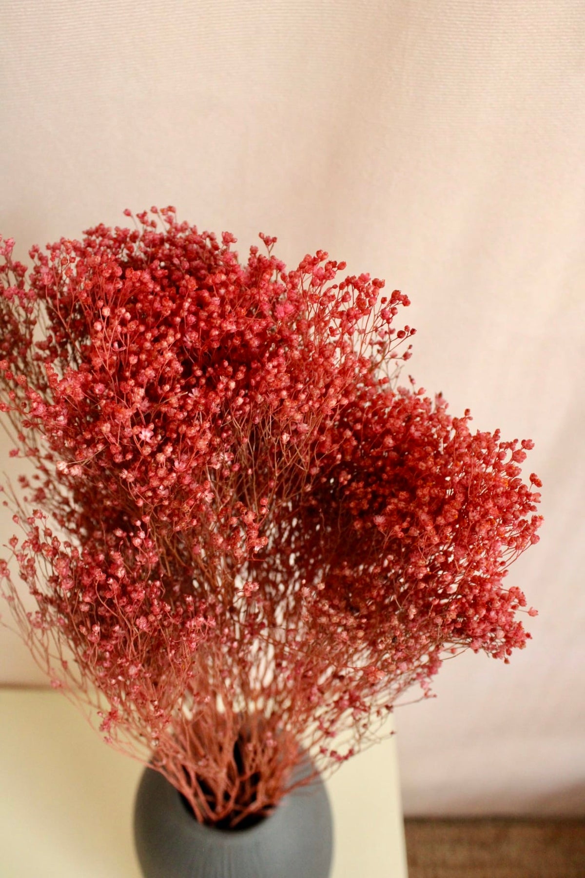 Vasenglück Trockenblumen Broom Bloom | Rotbraun