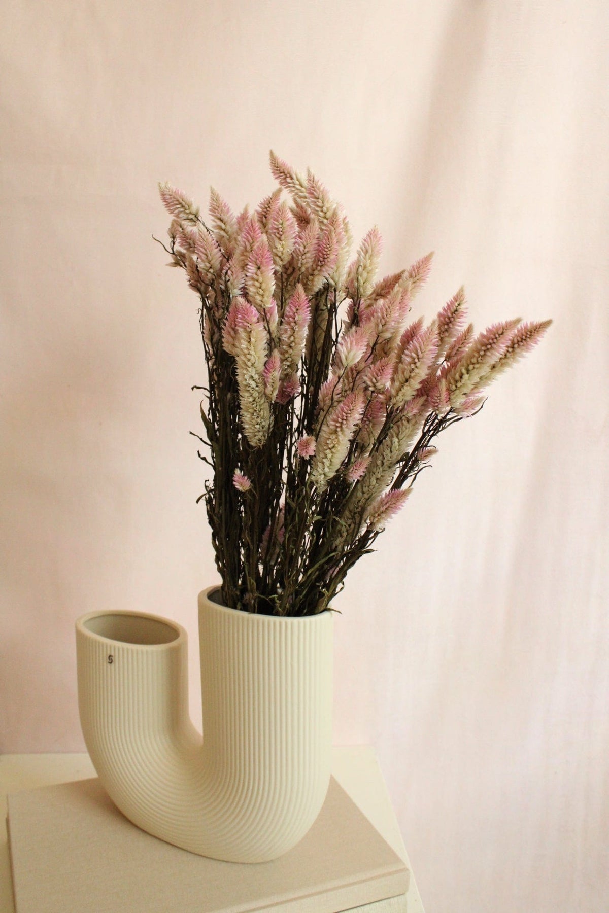 Vasenglück Trockenblumen Celosia | Rosa Natur
